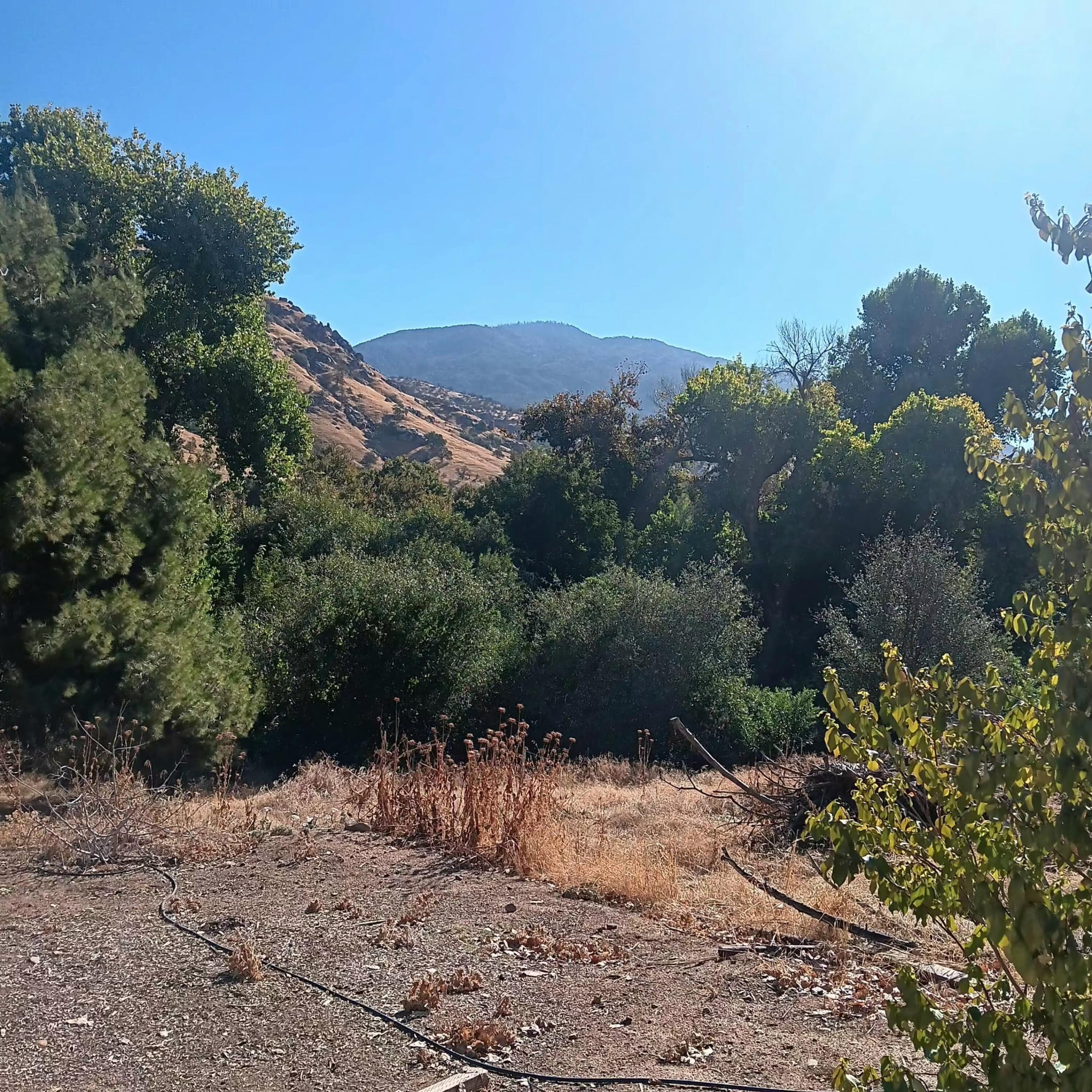 34933 Highway 190, Springville, CA 93265