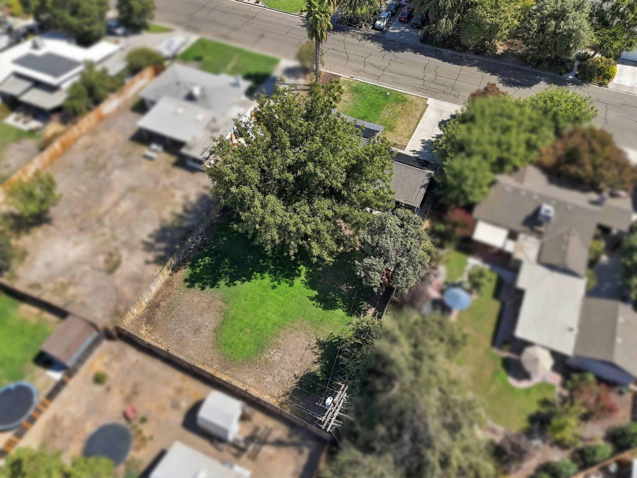 Open Photo