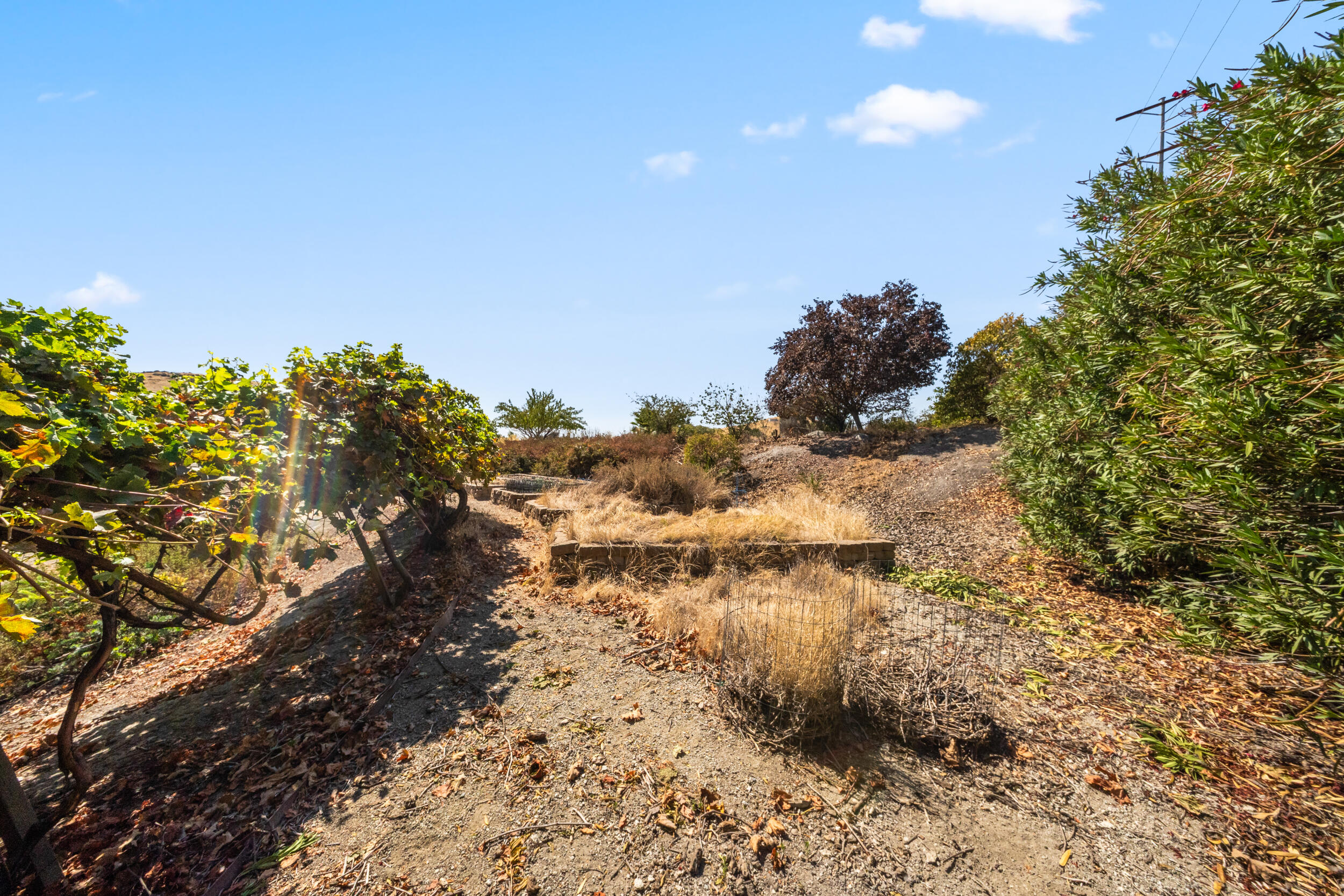 17583 Doran Dr, Springville, CA 93265