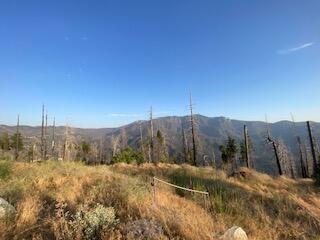 52905 Alpine Dr, Springville, CA 93265