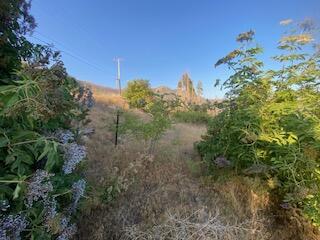 52905 Alpine Dr, Springville, CA 93265