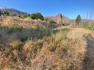 52905 Alpine Dr, Springville, CA 93265