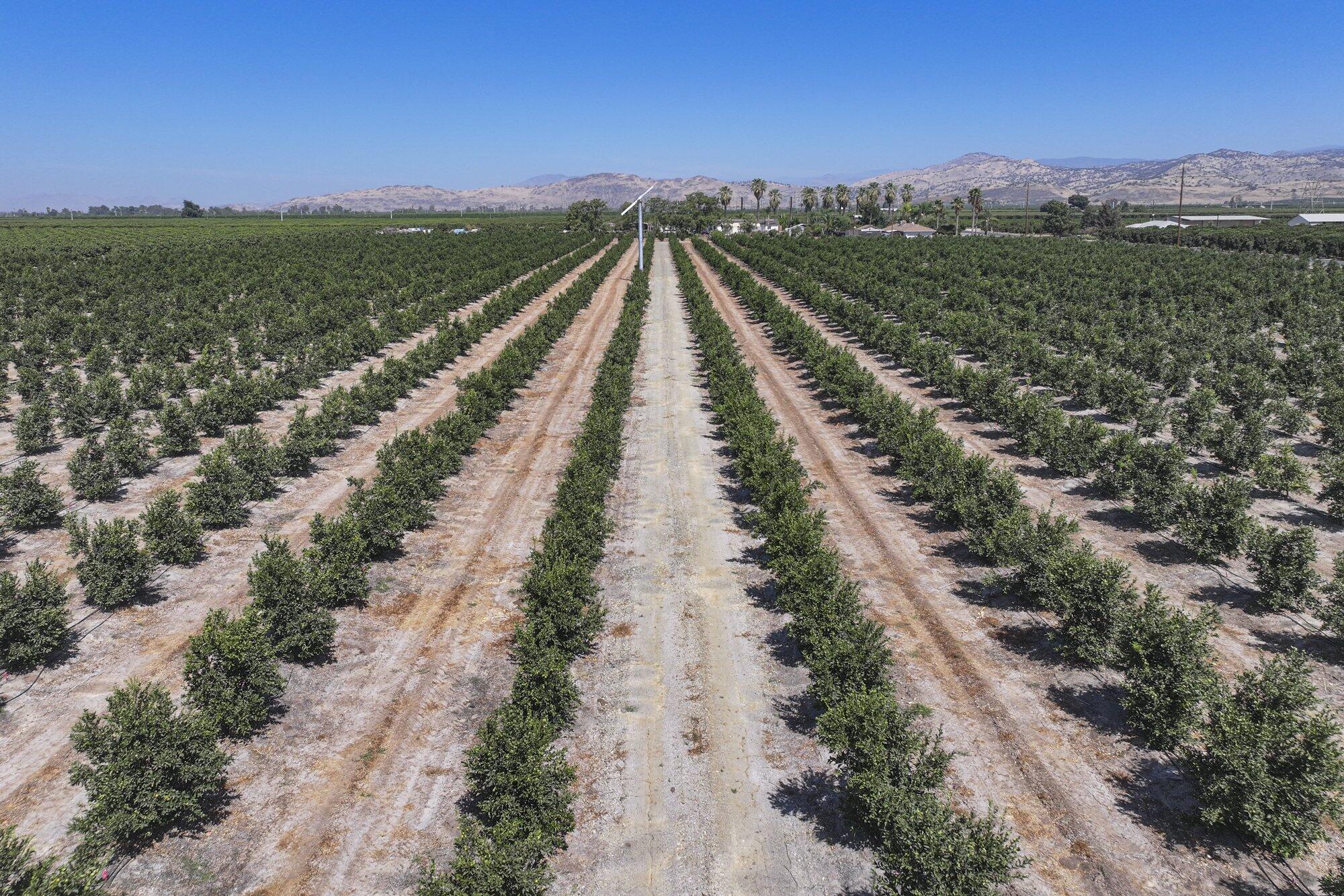 40903 Road 144, Orosi, CA 93647