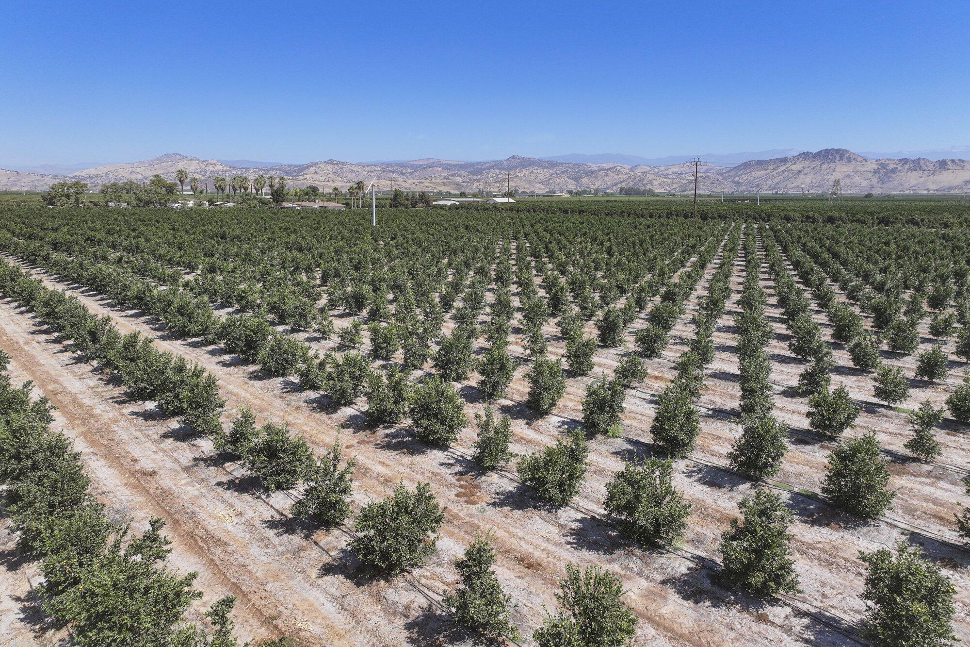 40903 Road 144, Orosi, CA 93647