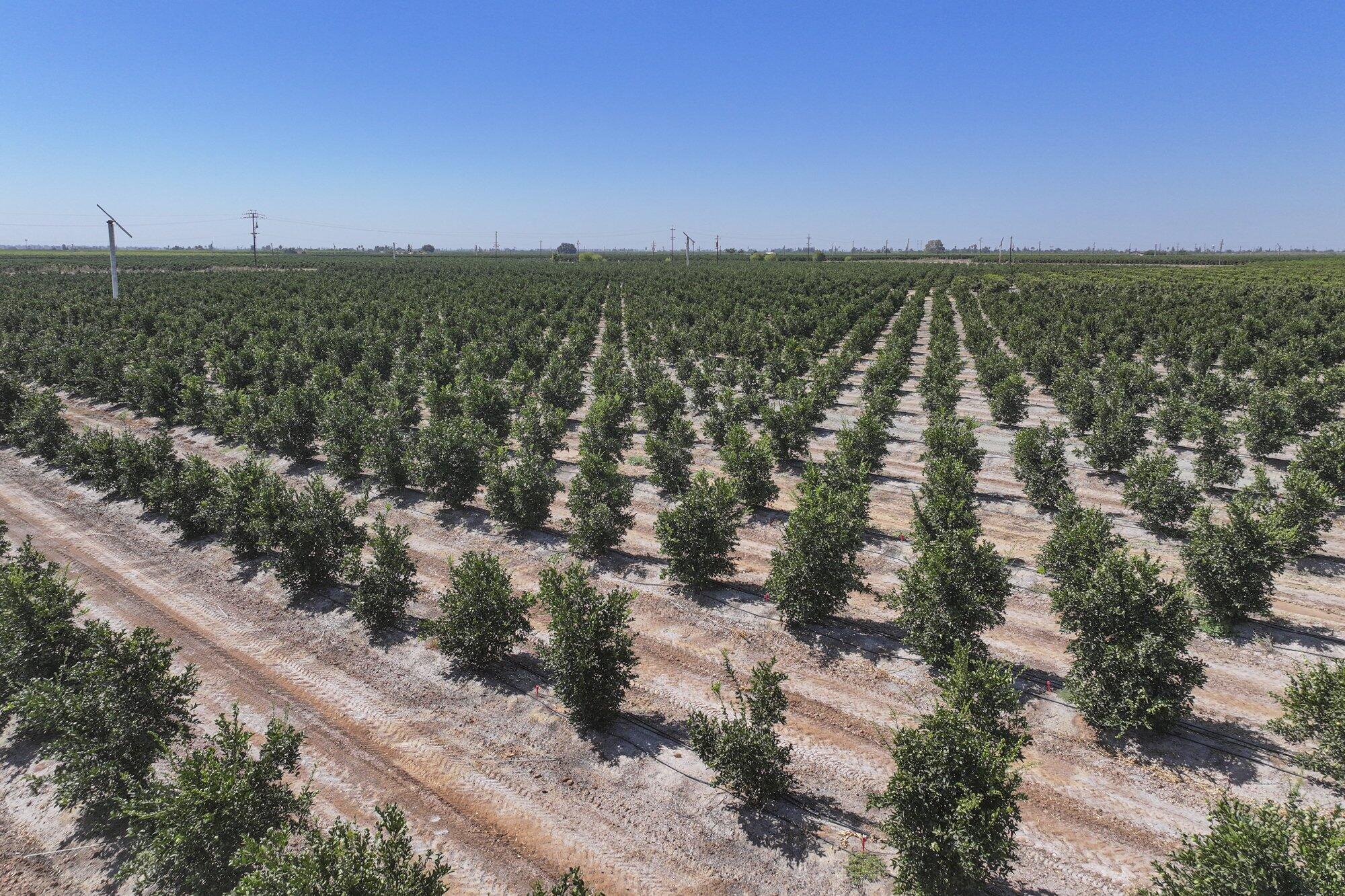 40903 Road 144, Orosi, CA 93647