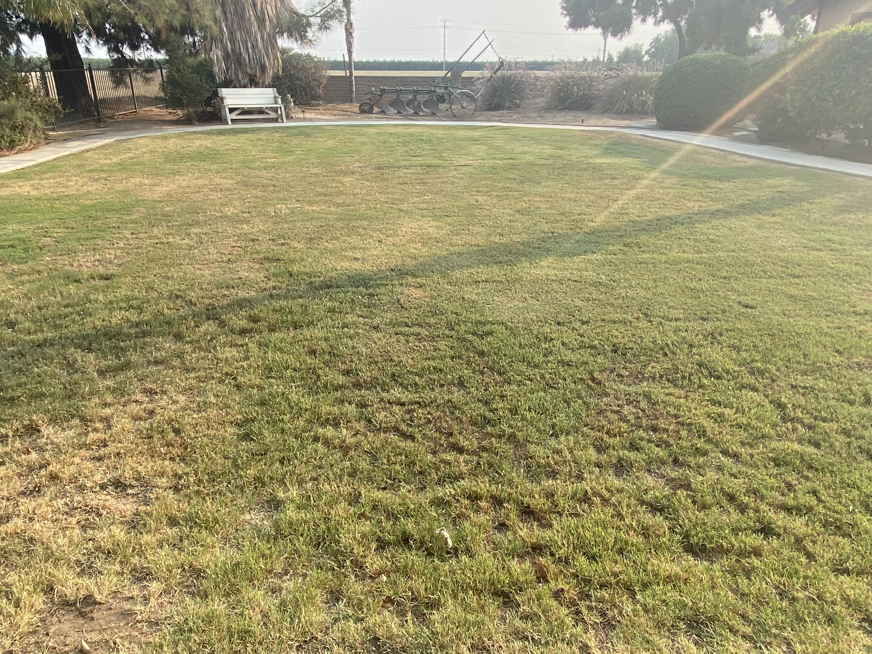 10853 Porter Ave, Dinuba, CA 93618