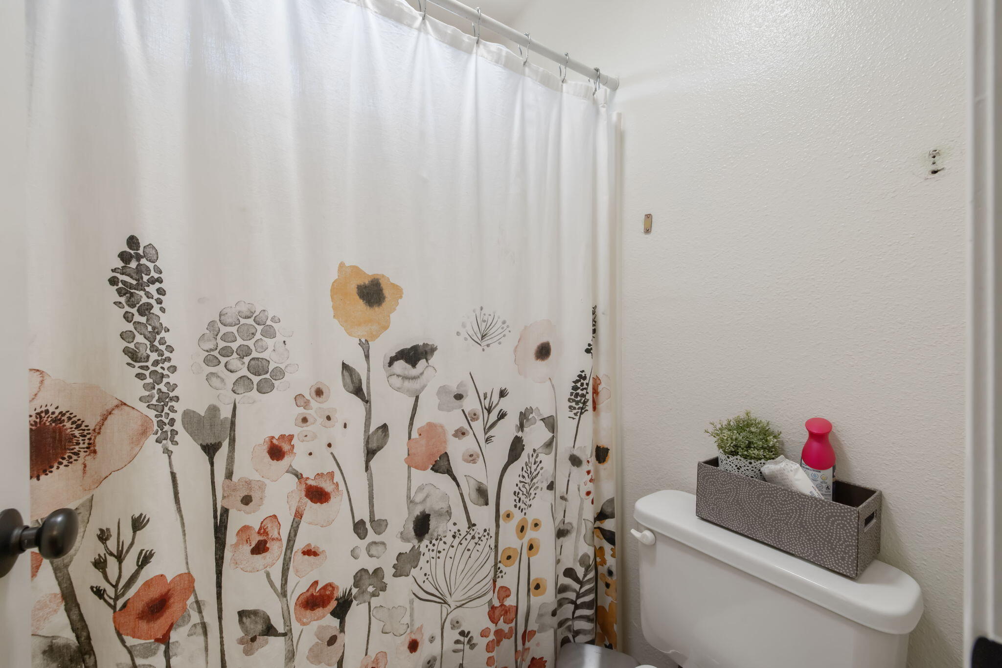 3834 N University St, Visalia, CA 93291