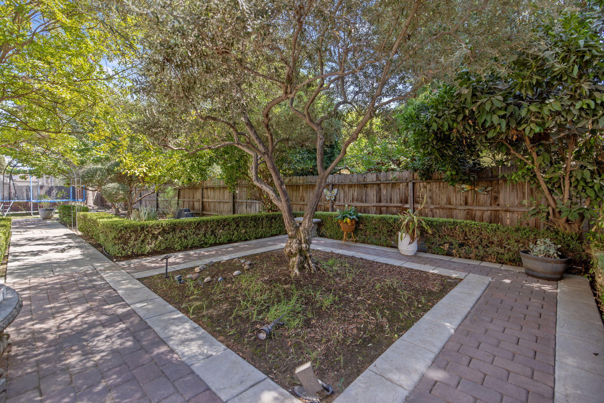 3834 N University St, Visalia, CA 93291
