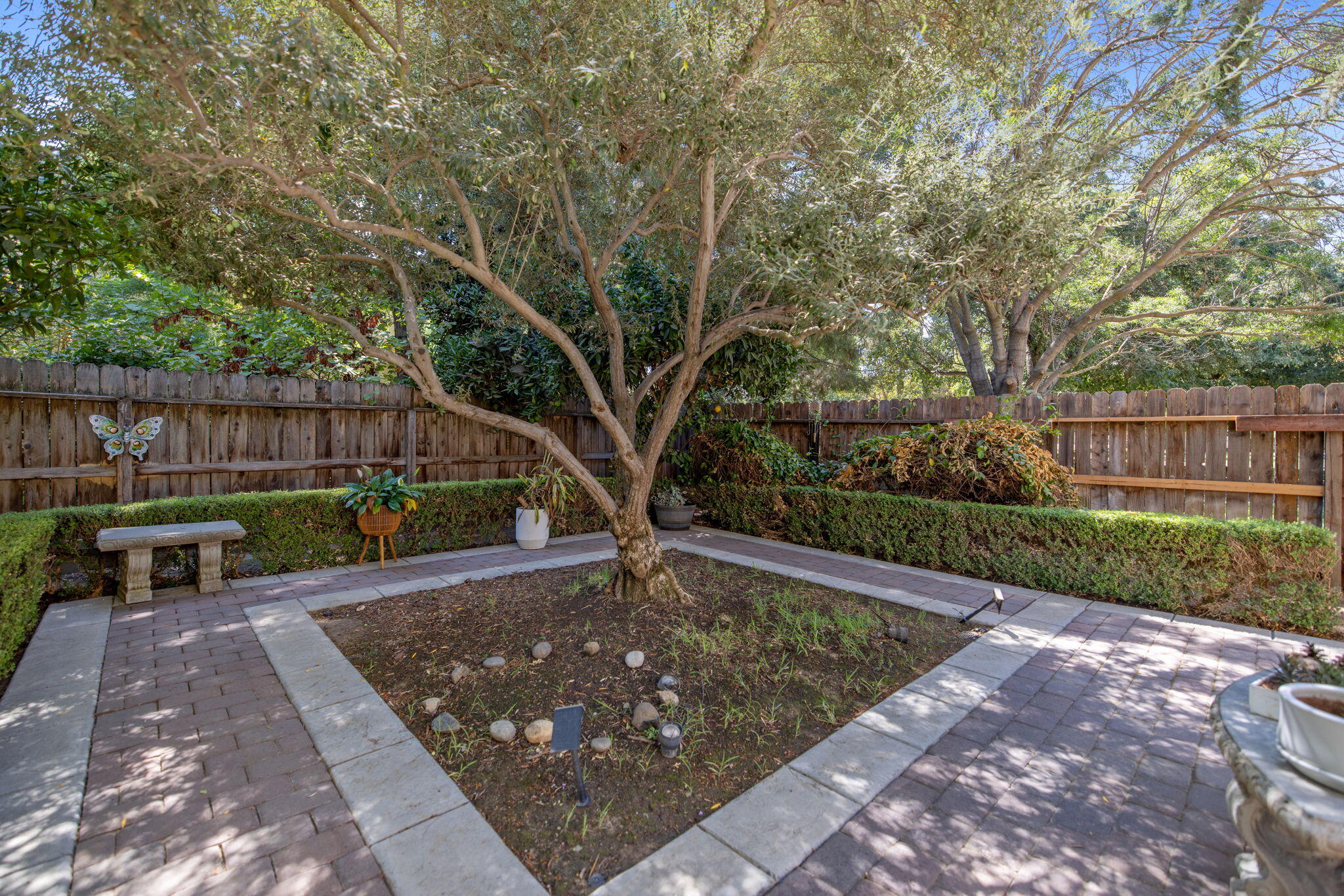 3834 N University St, Visalia, CA 93291