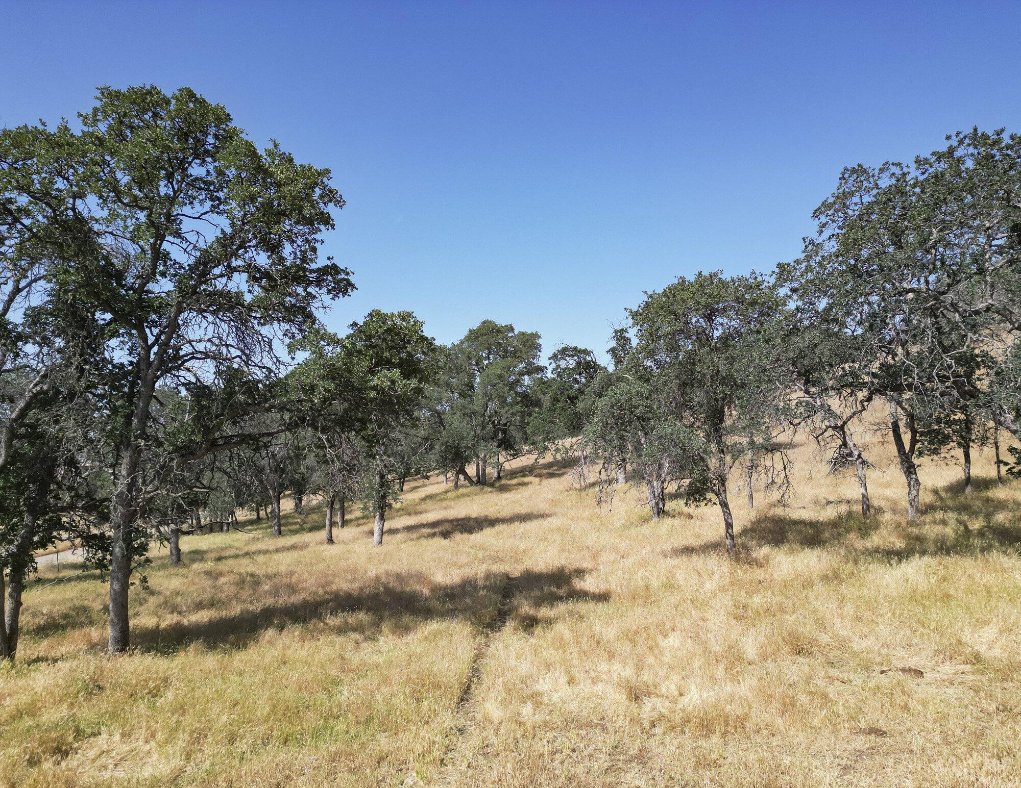 0 Ca-180, Yokuts Valley, CA 93675