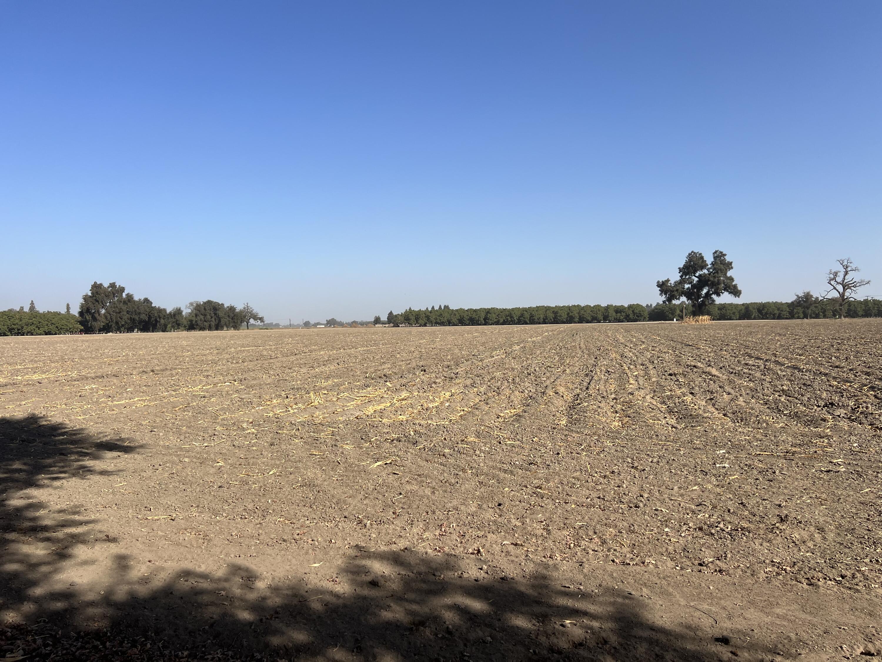 42 Acres Mooney, Tulare, CA 93274