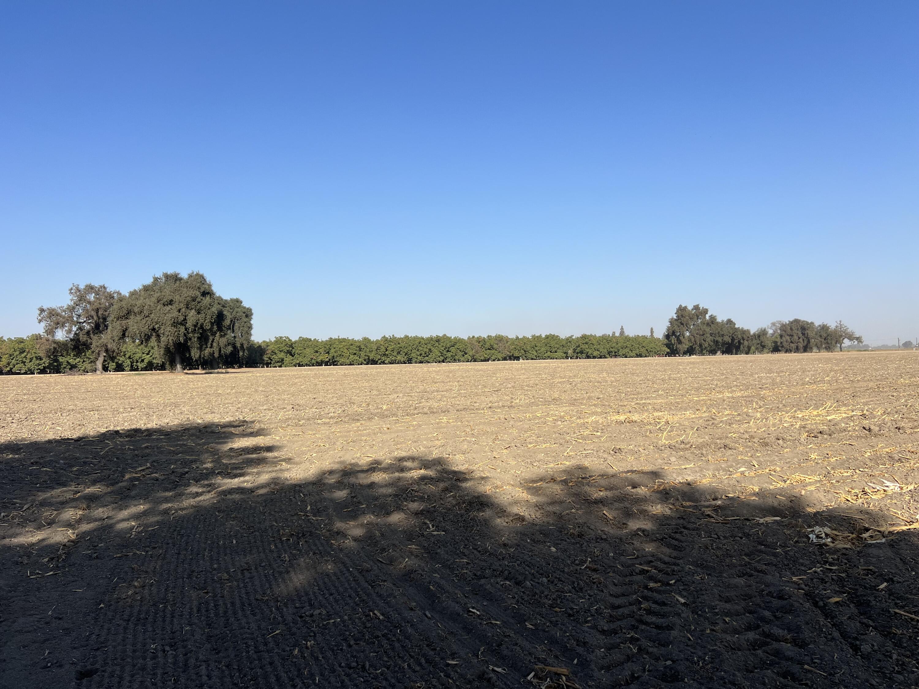 42 Acres Mooney, Tulare, CA 93274