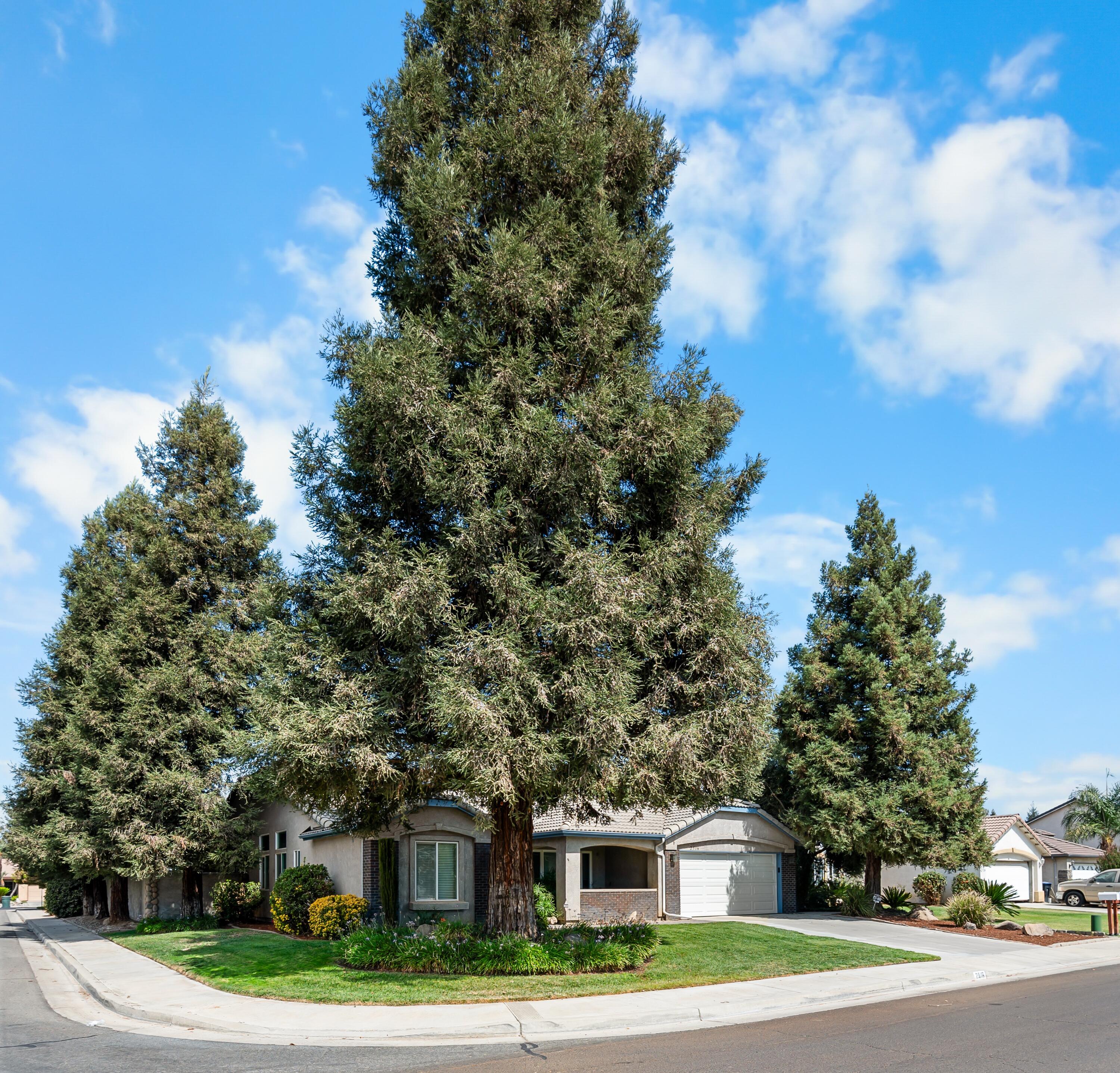 2516 E Cherry Ave, Visalia, CA 93292