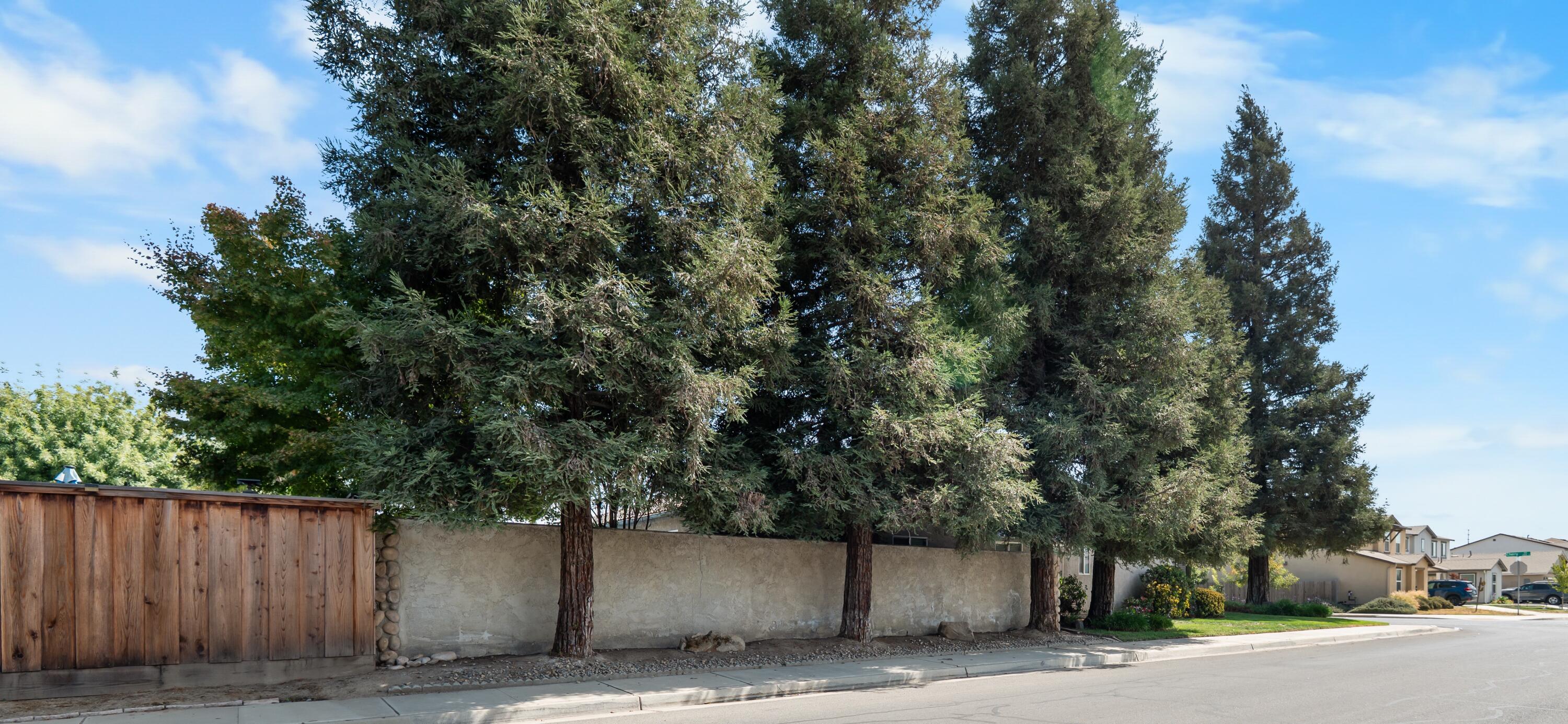 2516 E Cherry Ave, Visalia, CA 93292