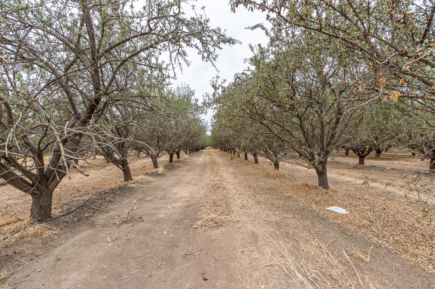 1 Road 164, Earlimart, CA 93219