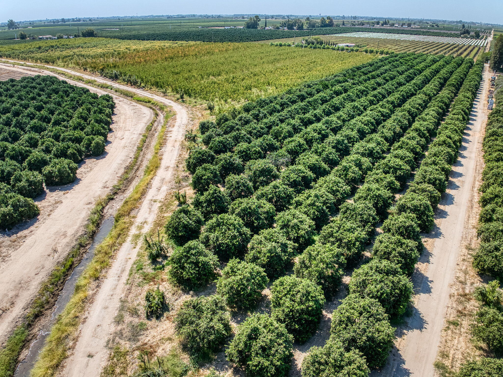 0, Reedley, CA 93654