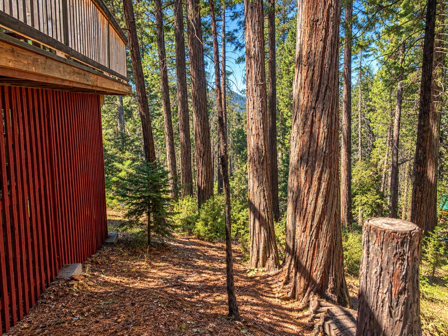 2079 John Gerney Dr, Springville, CA 93265