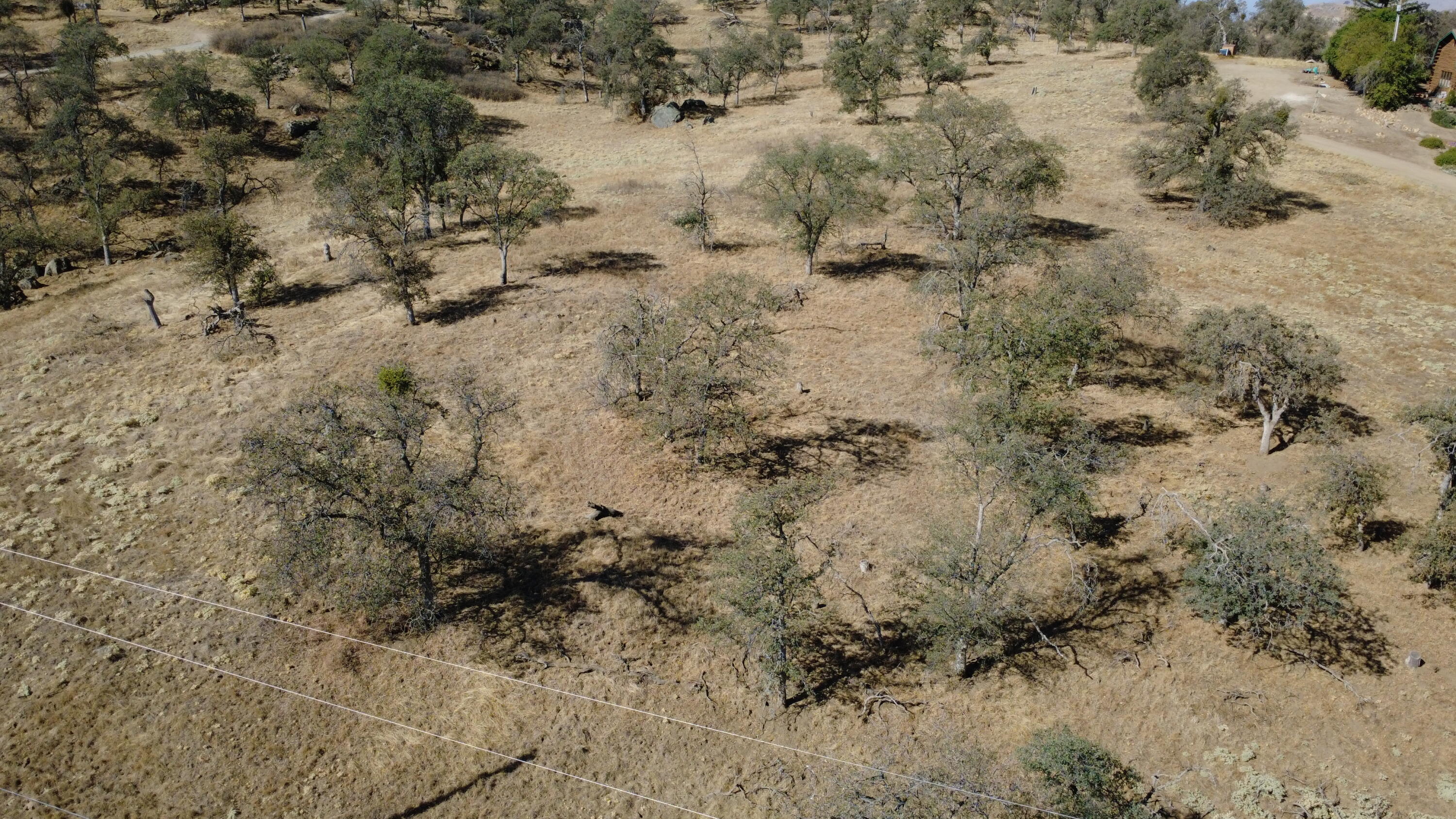 0 Wolverine, Yokuts Valley, CA 93675