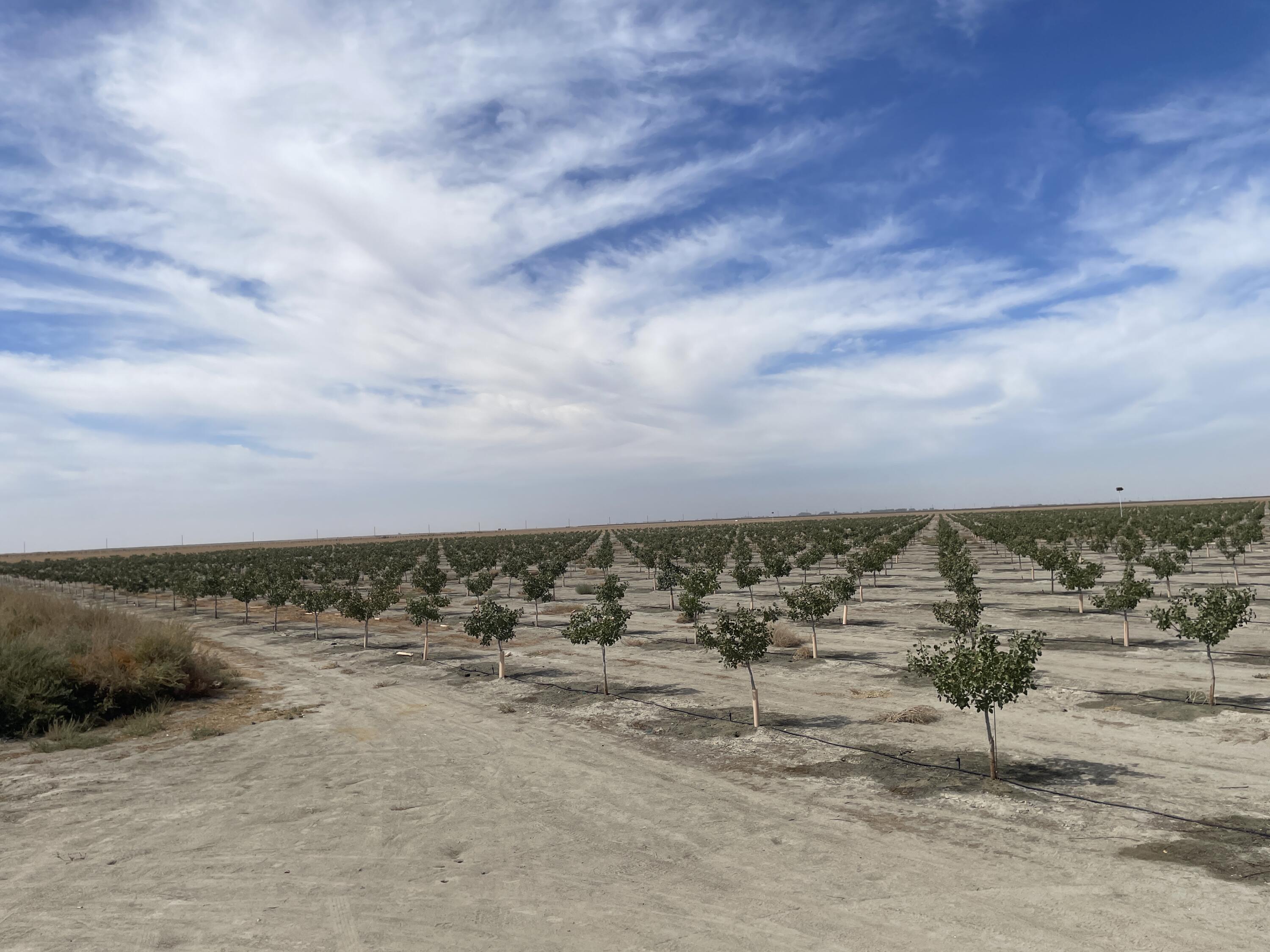 0 W W Ave 24 Ave, Allensworth, CA 93219