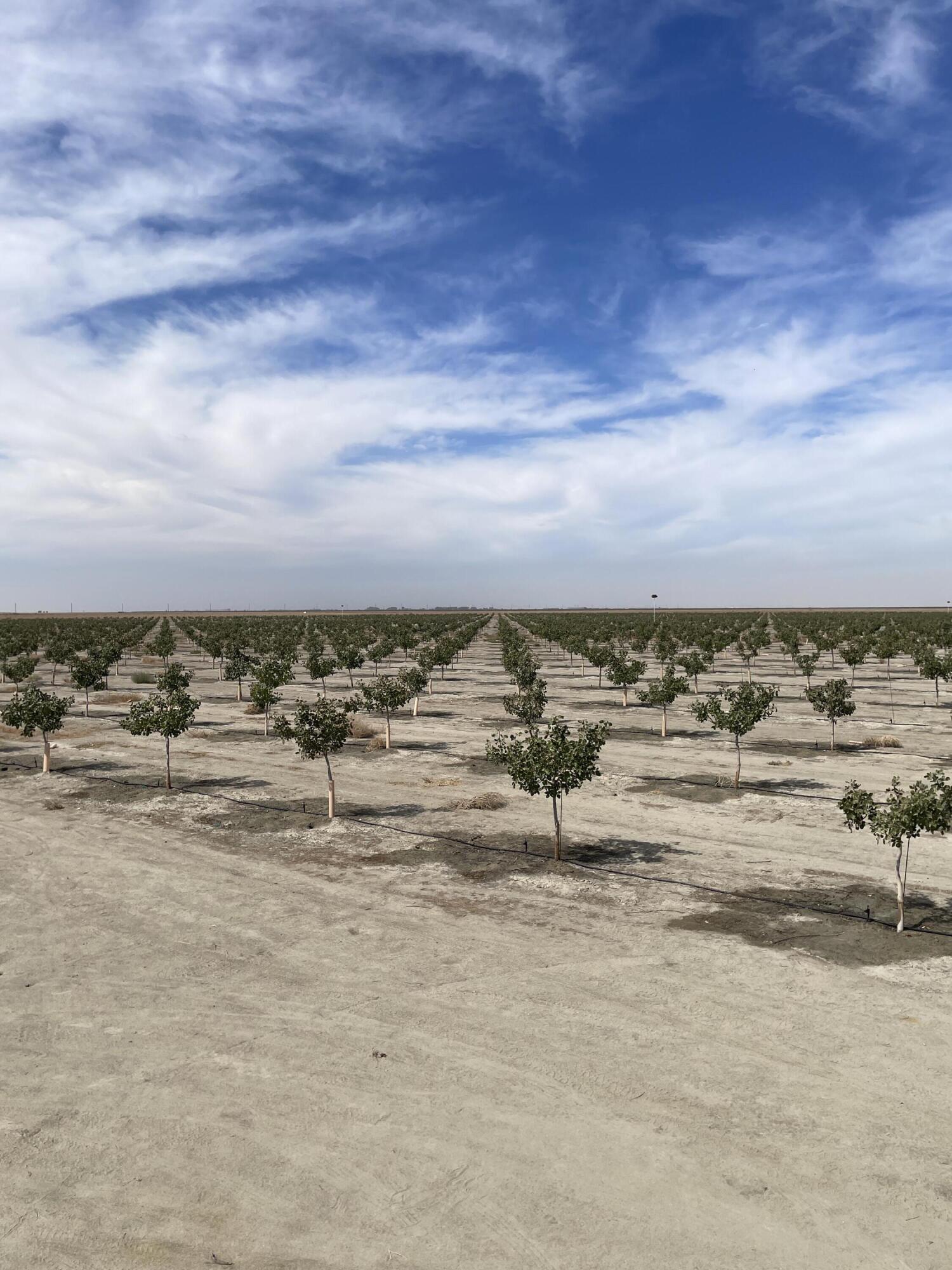 0 W W Ave 24 Ave, Allensworth, CA 93219