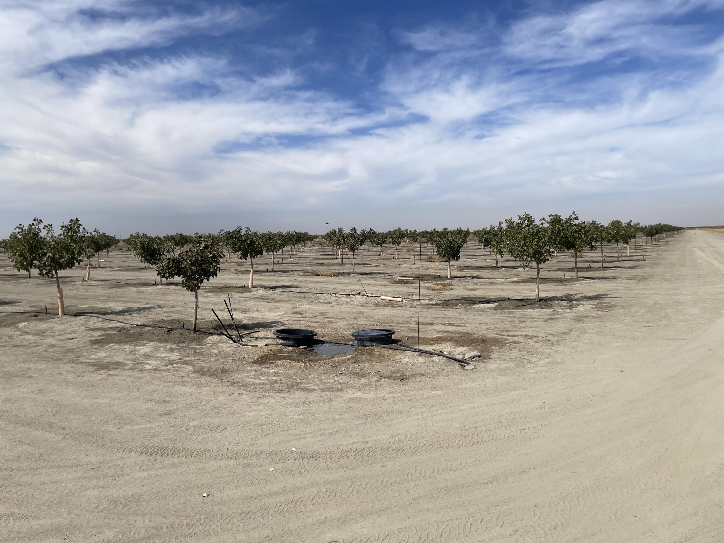0 W W Ave 24 Ave, Allensworth, CA 93219