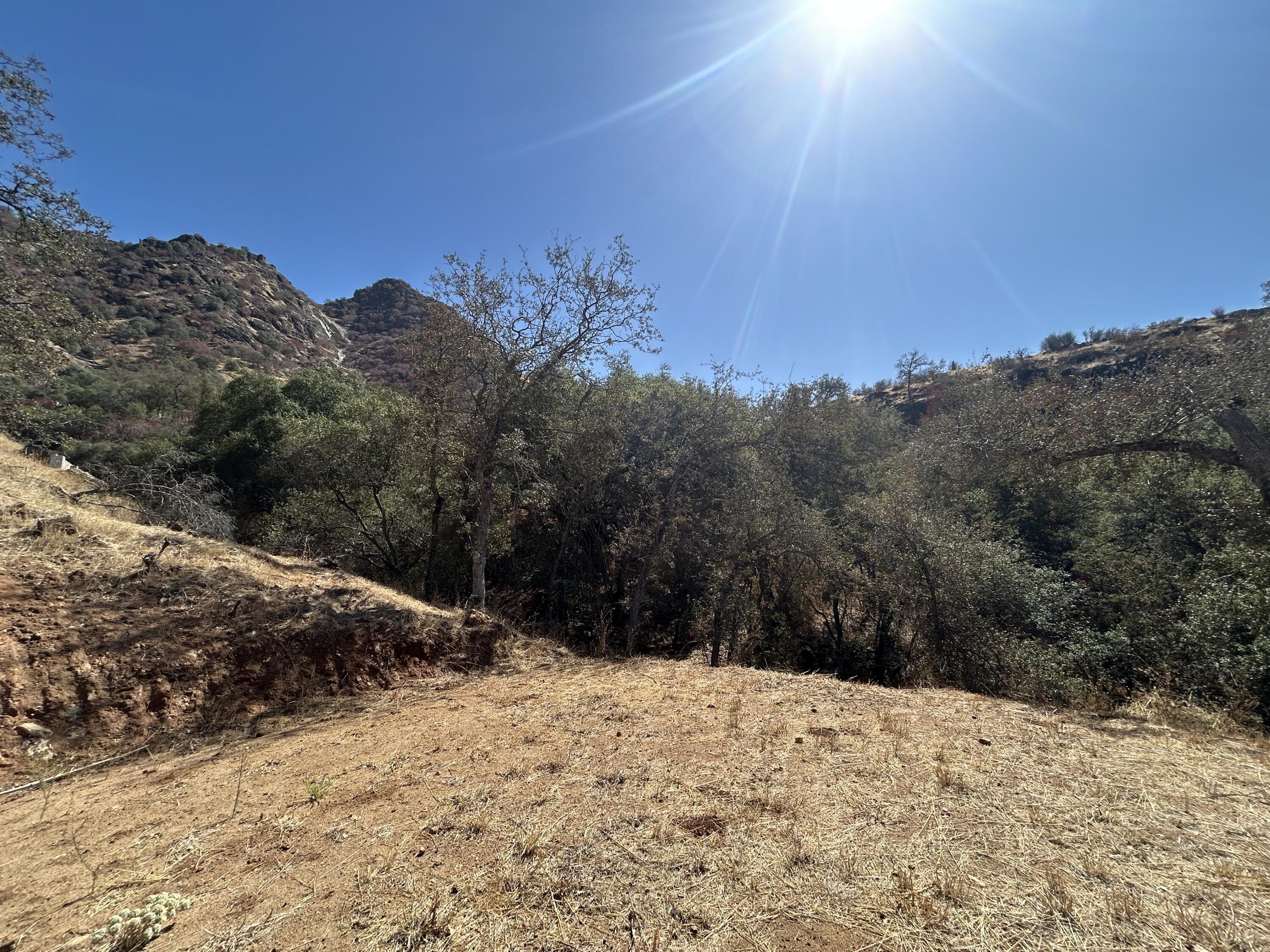 42367 Corral Dr, Three Rivers, CA 93271