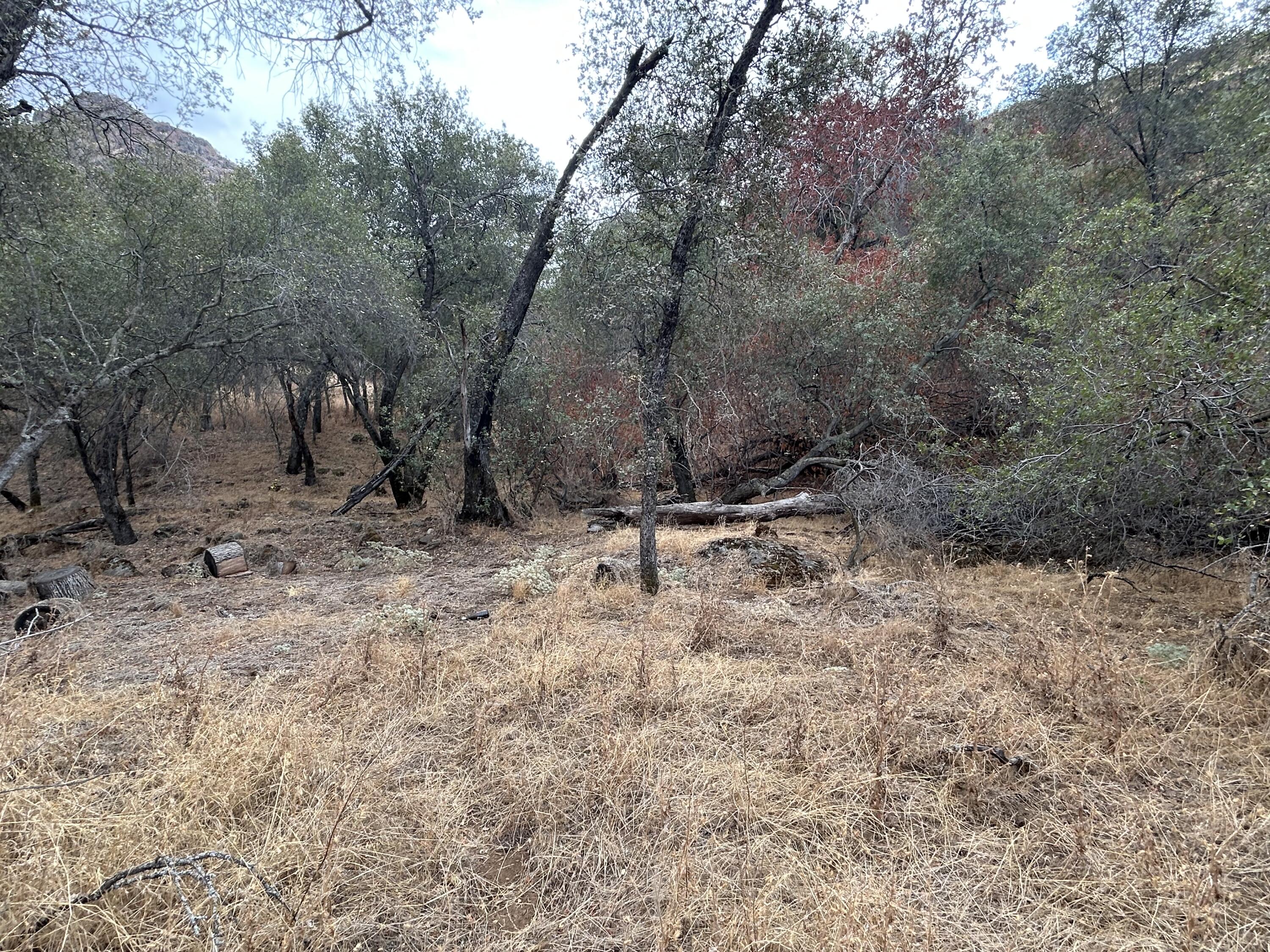 42367 Corral Dr, Three Rivers, CA 93271