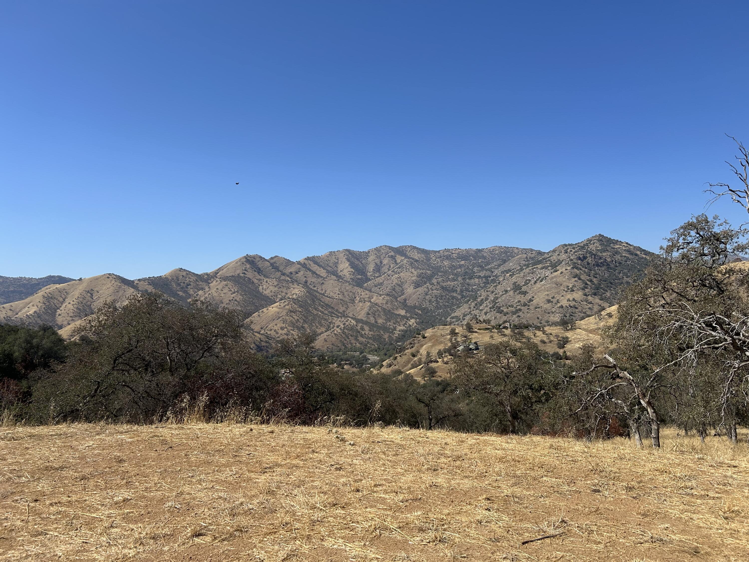 42367 Corral Dr, Three Rivers, CA 93271