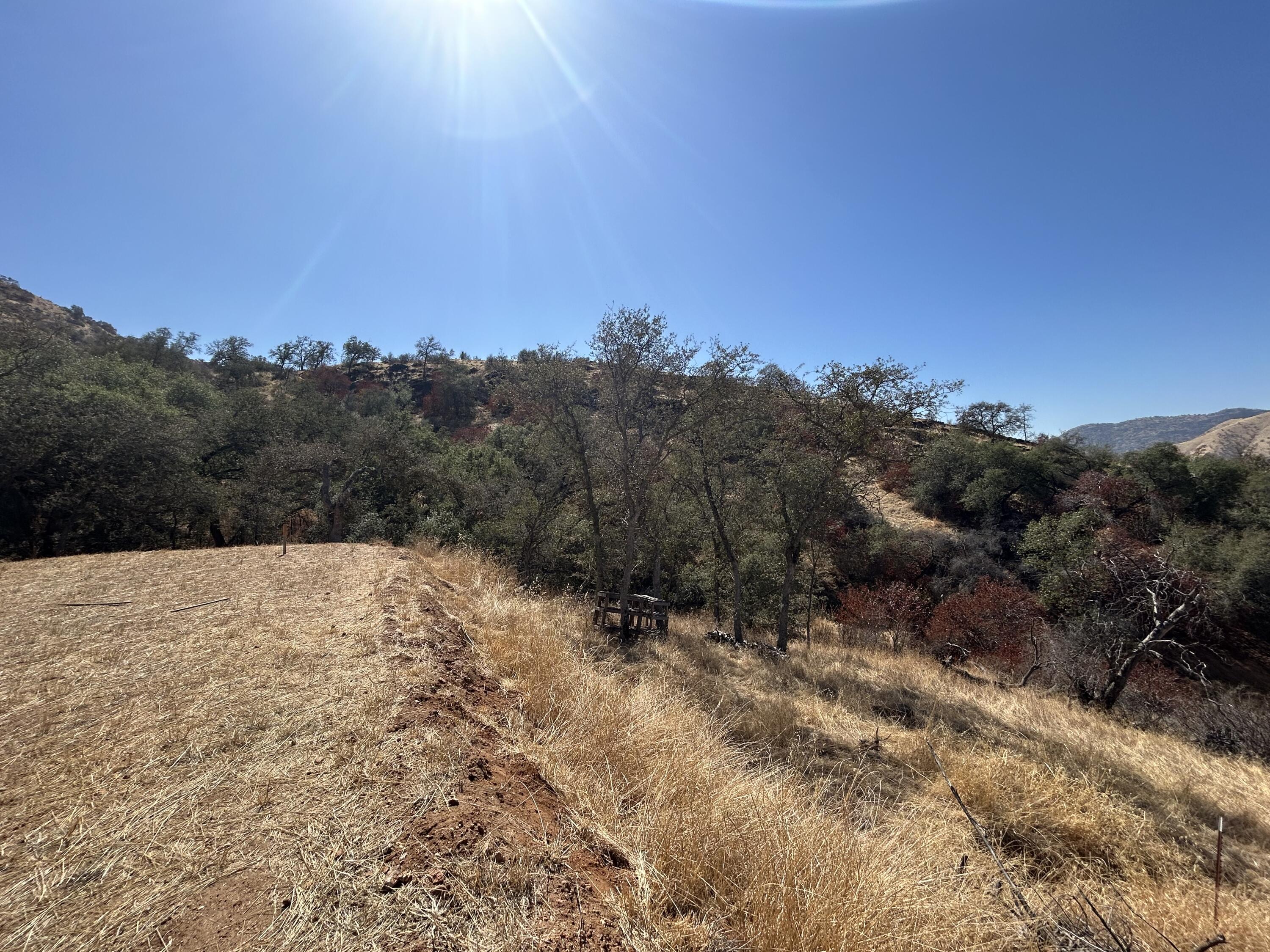 42367 Corral Dr, Three Rivers, CA 93271