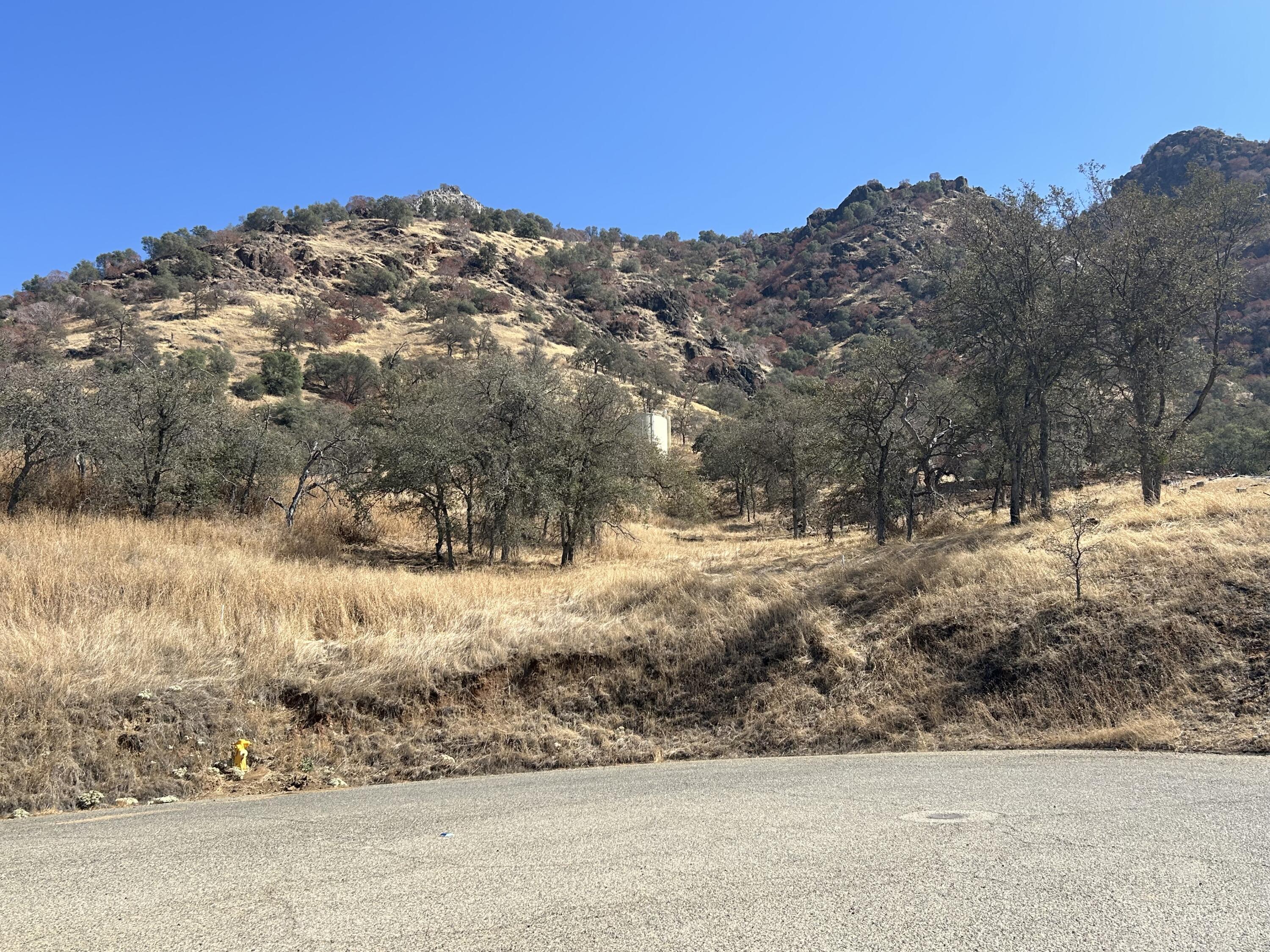 42367 Corral Dr, Three Rivers, CA 93271