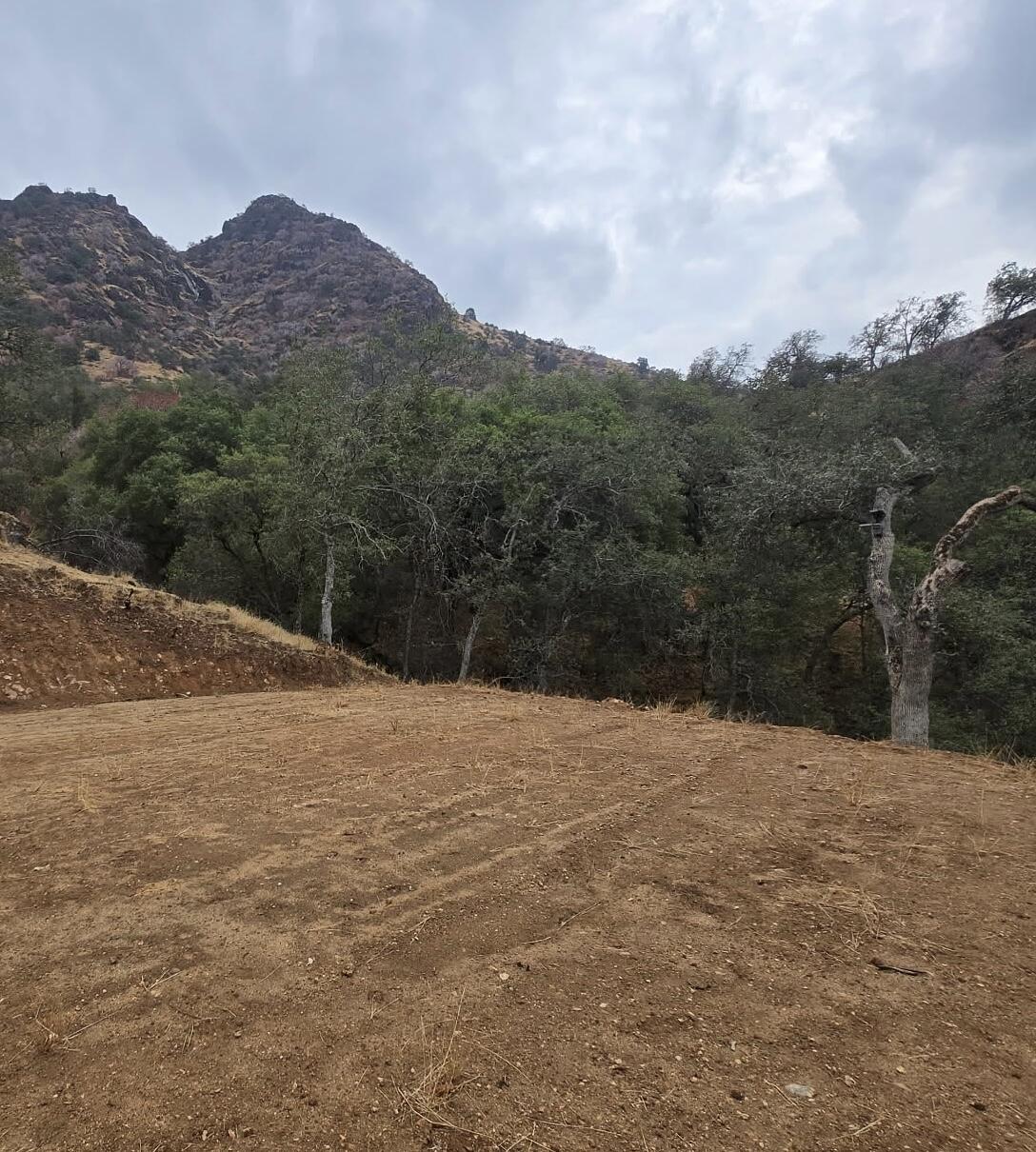 42367 Corral Dr, Three Rivers, CA 93271
