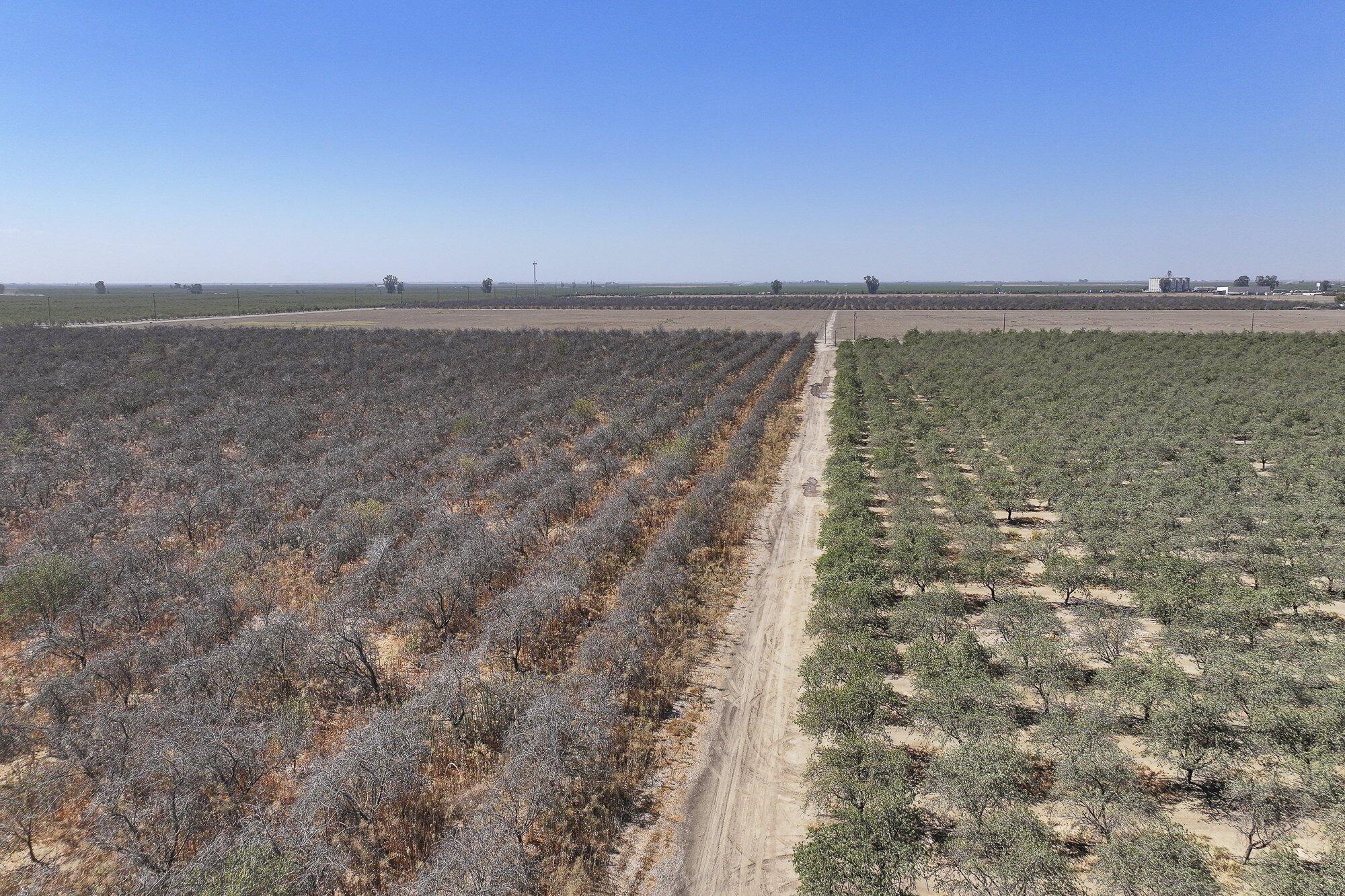 3099 Alila Ave, Pixley, CA 93256