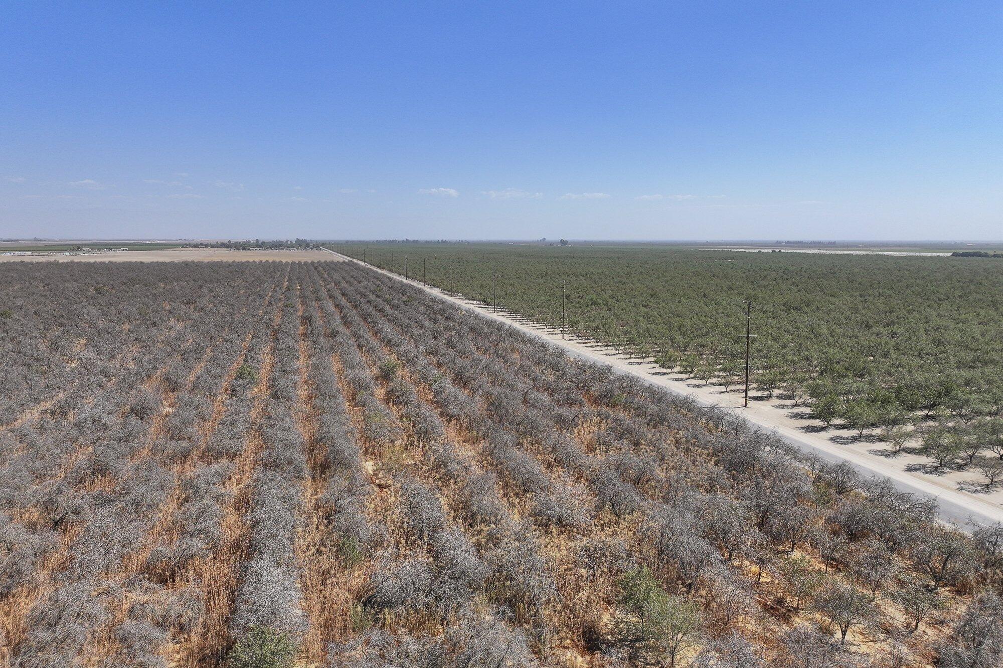 3099 Alila Ave, Pixley, CA 93256