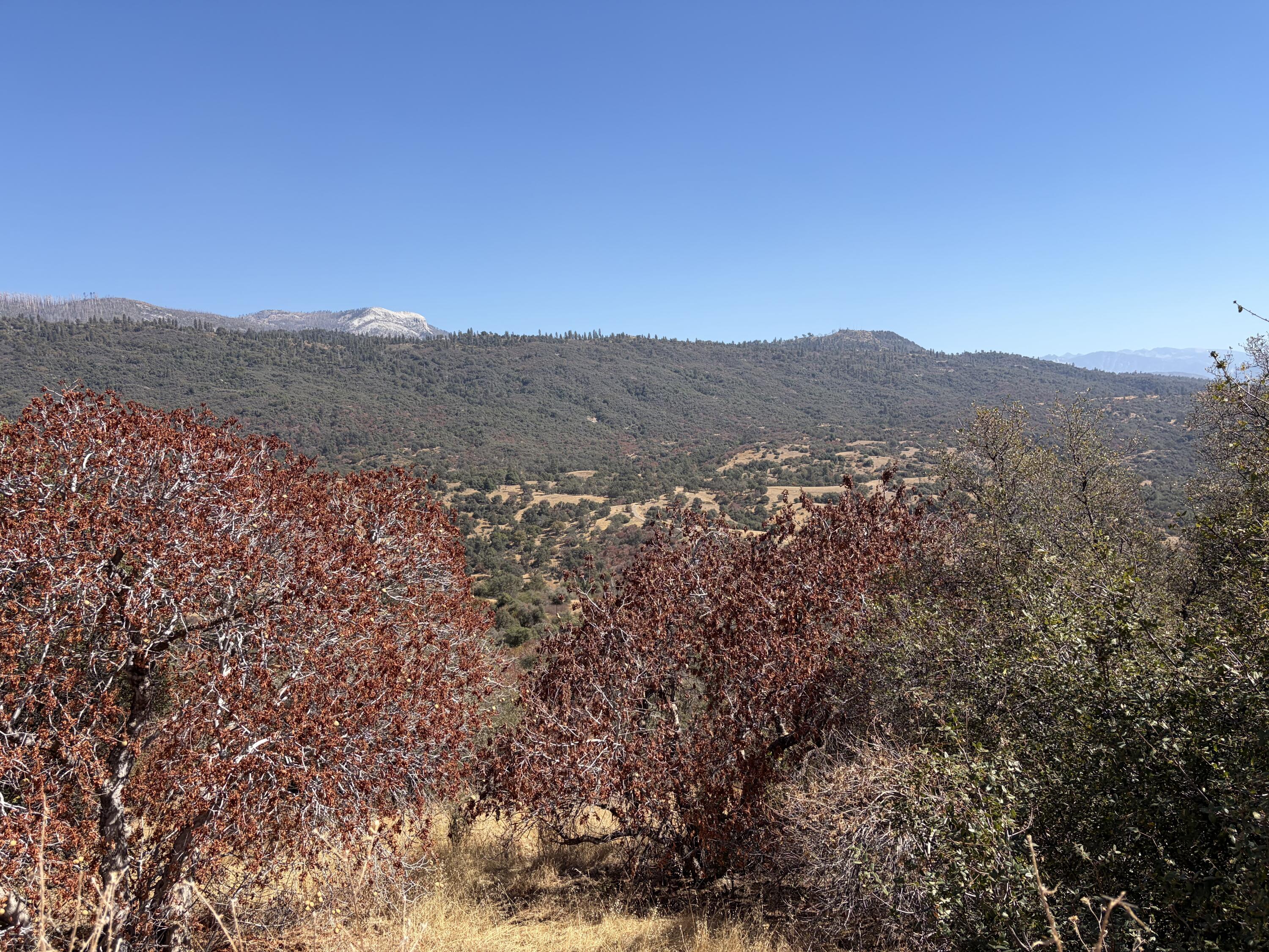0001 Hogback, Badger, CA 93603