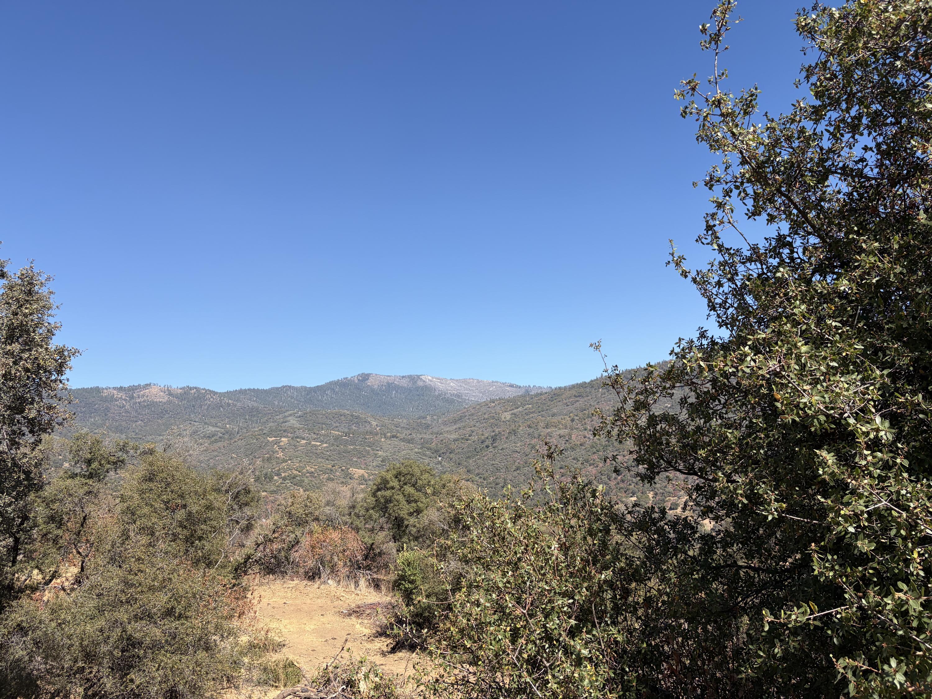 0001 Hogback, Badger, CA 93603