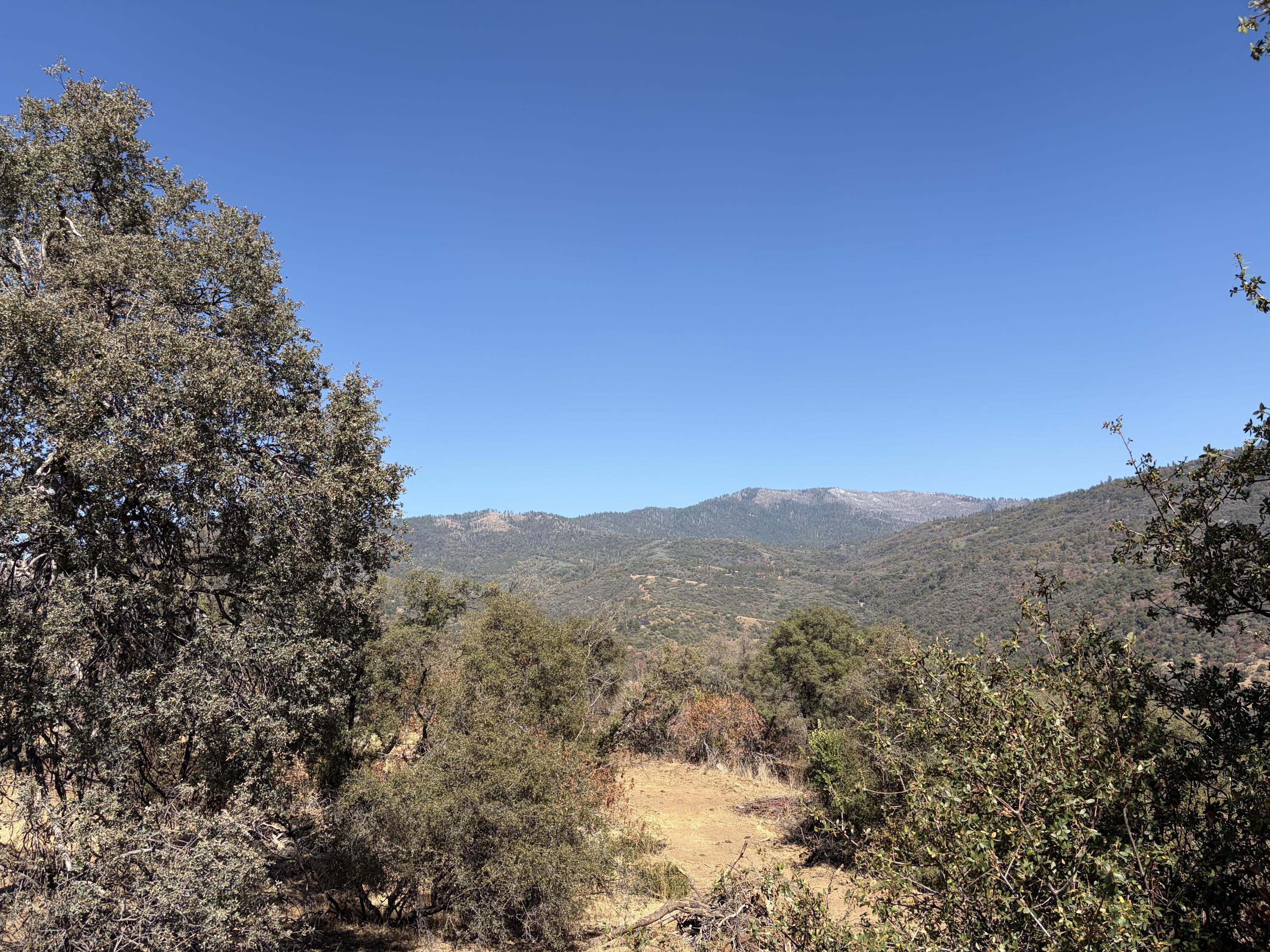 0001 Hogback, Badger, CA 93603