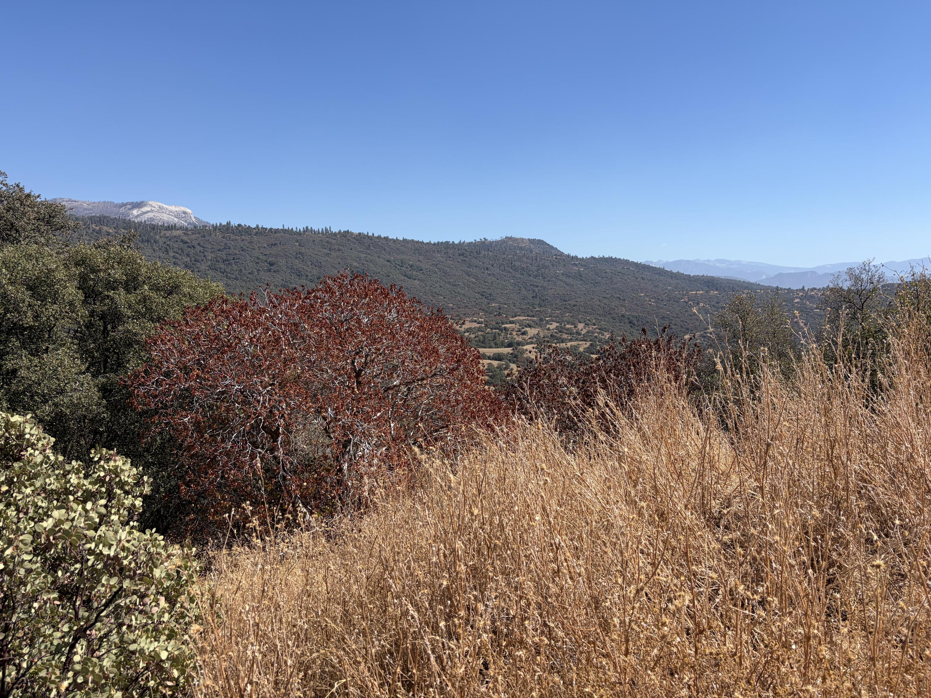 0001 Hogback, Badger, CA 93603