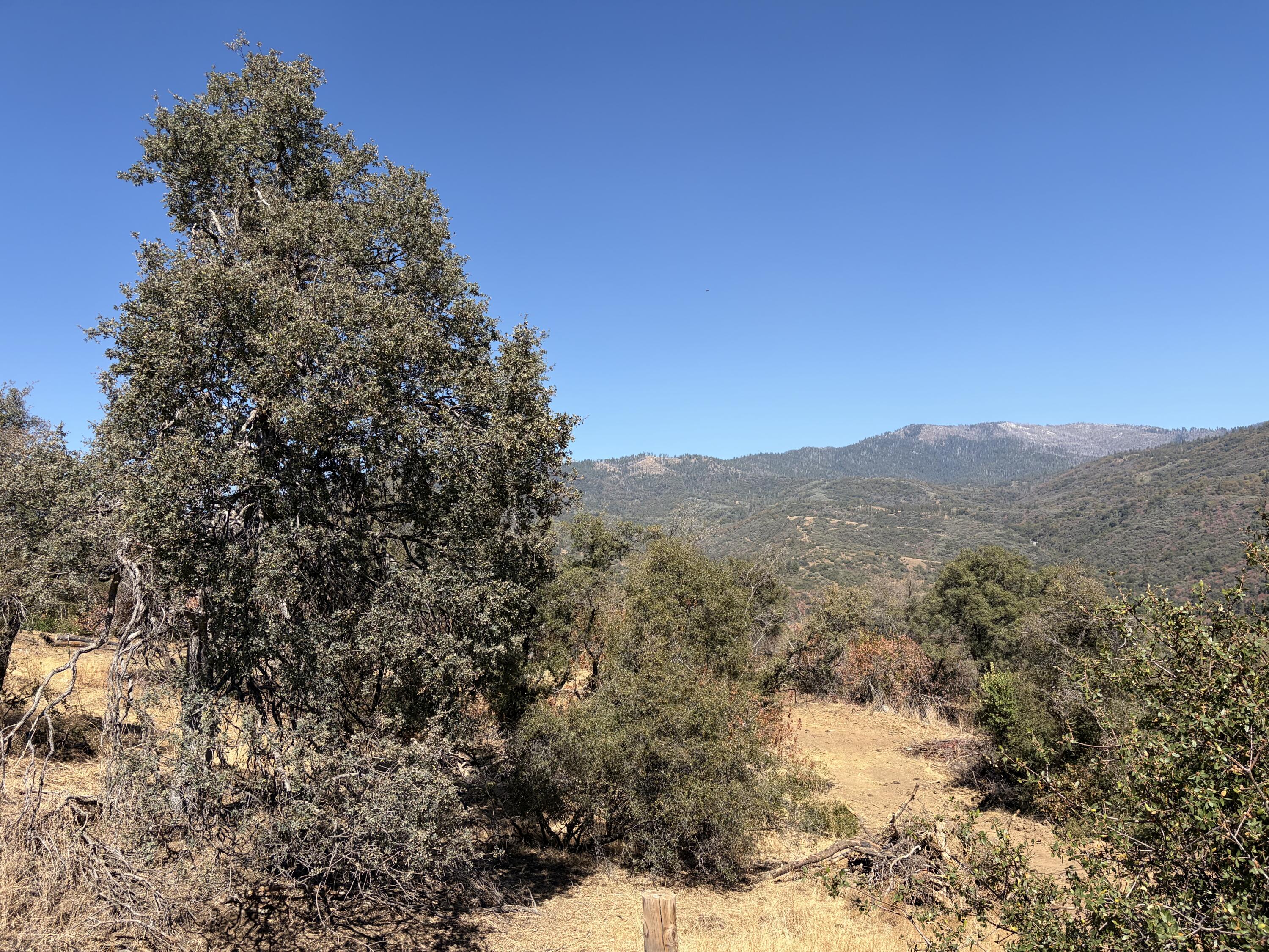 0001 Hogback, Badger, CA 93603