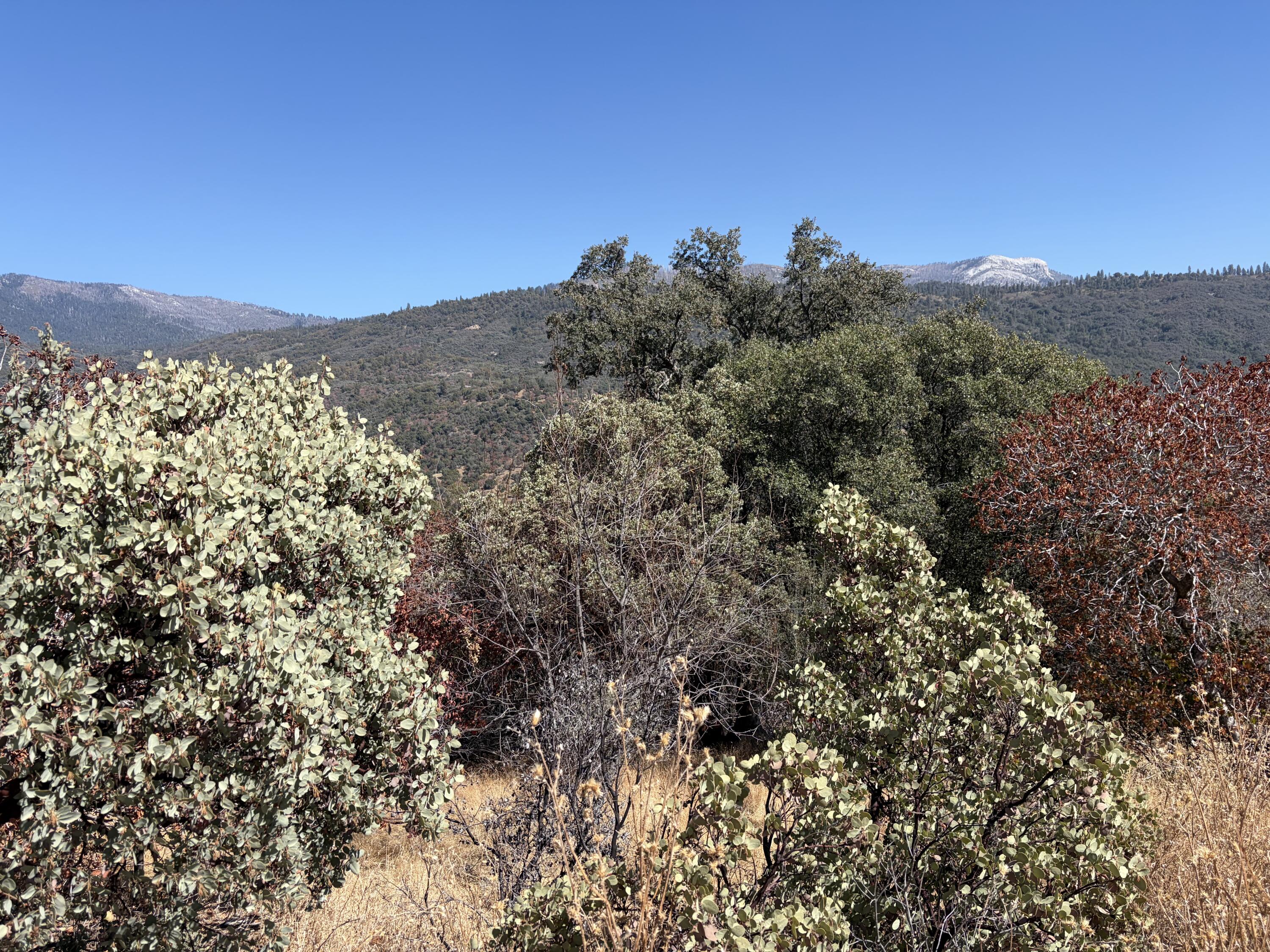 0001 Hogback, Badger, CA 93603