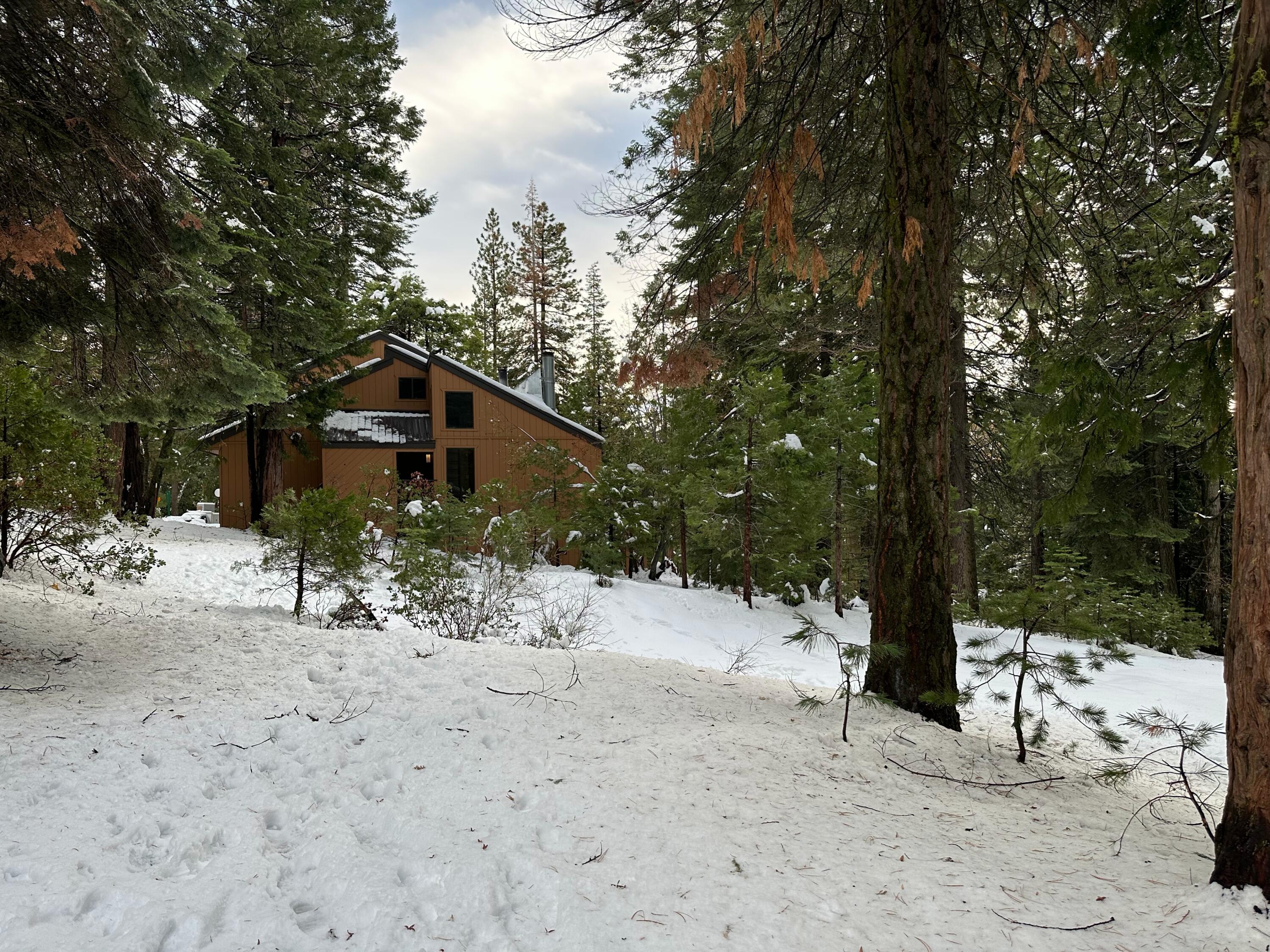 40812 Oakwoods Ln #106, Shaver Lake, CA 93664