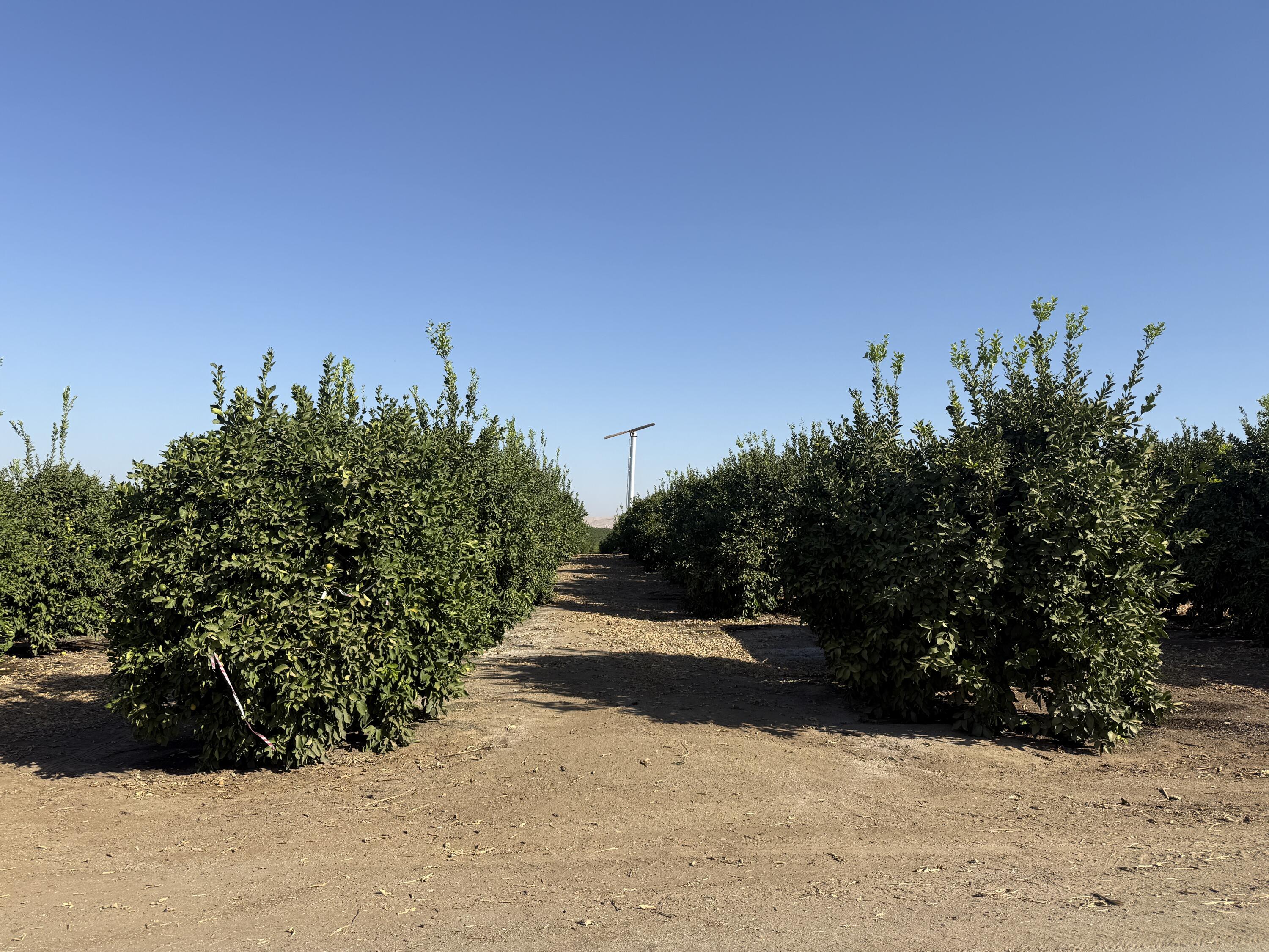 25389 Ave 120, Porterville, CA 93257