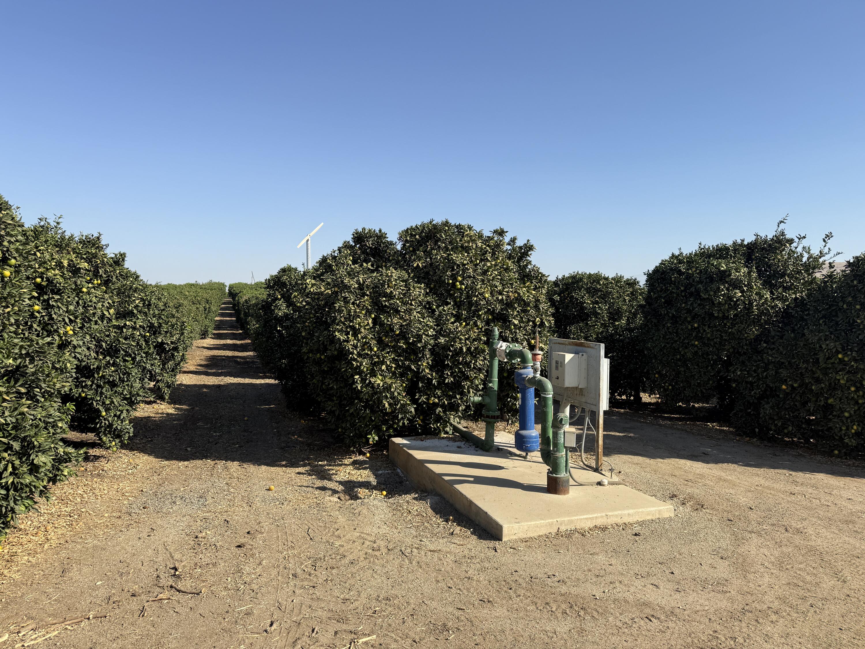 25389 Ave 120, Porterville, CA 93257