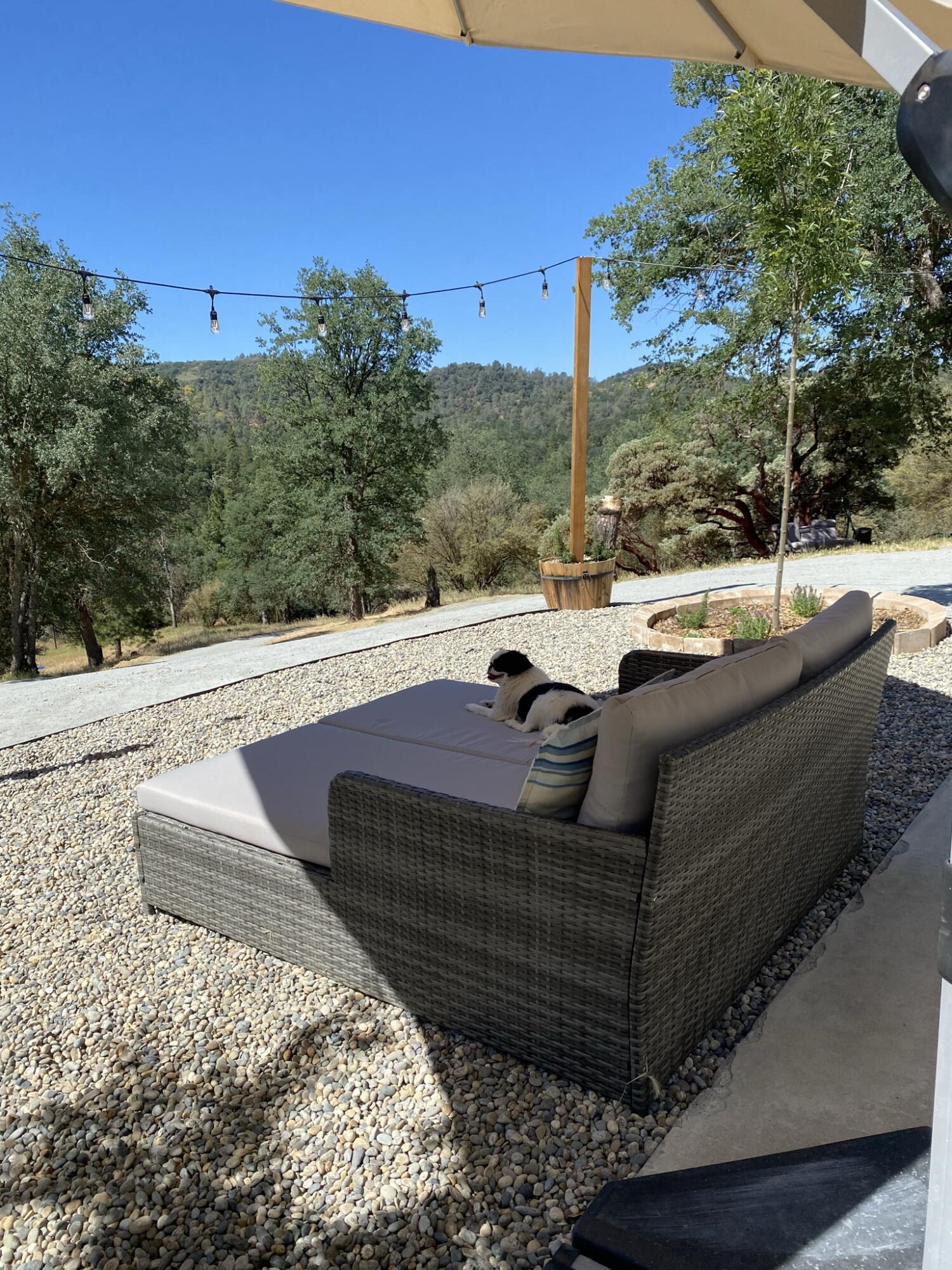 147 Rabbit Foot Trl, California Hot Springs, CA 93207