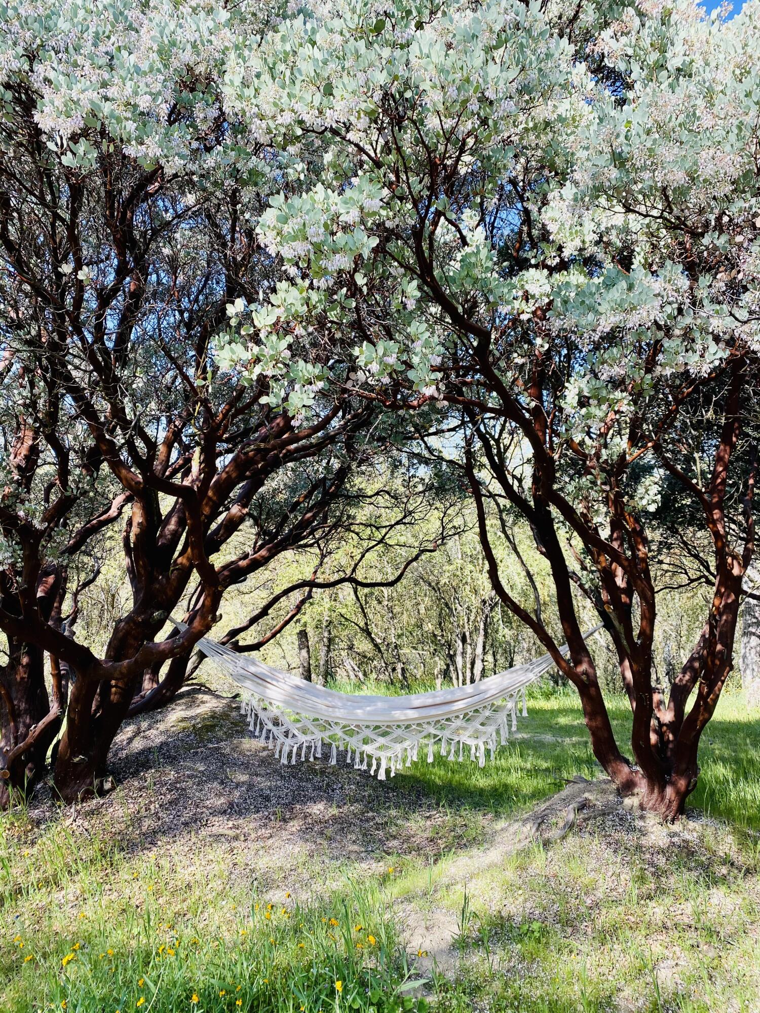 147 Rabbit Foot Trl, California Hot Springs, CA 93207