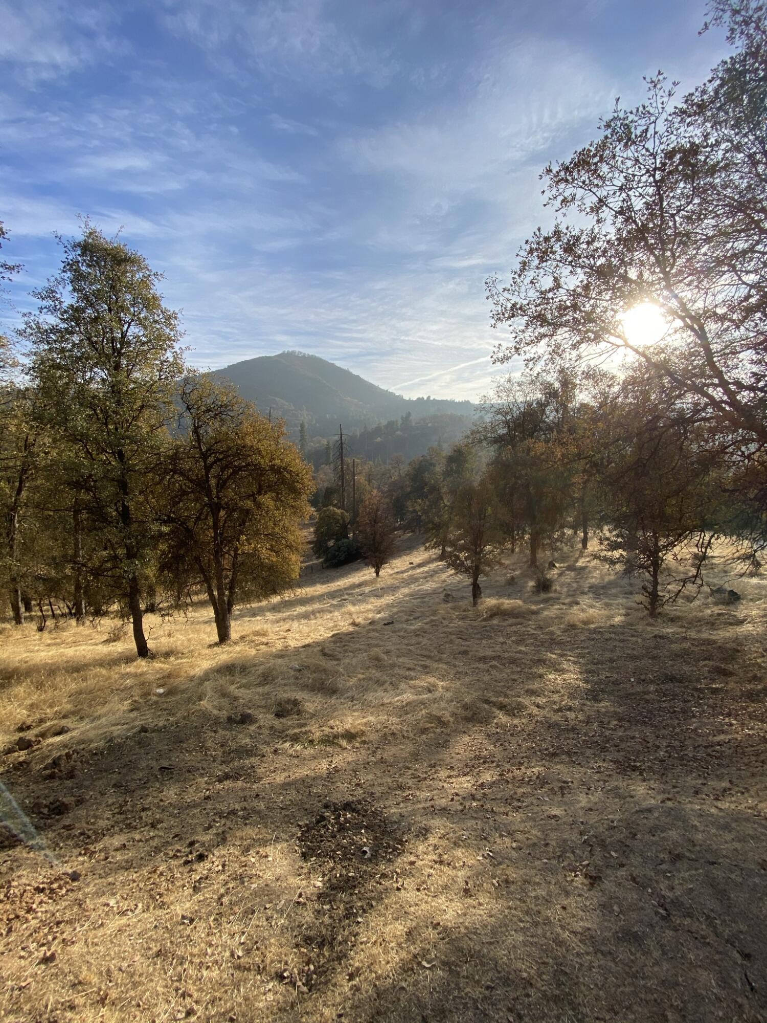 147 Rabbit Foot Trl, California Hot Springs, CA 93207