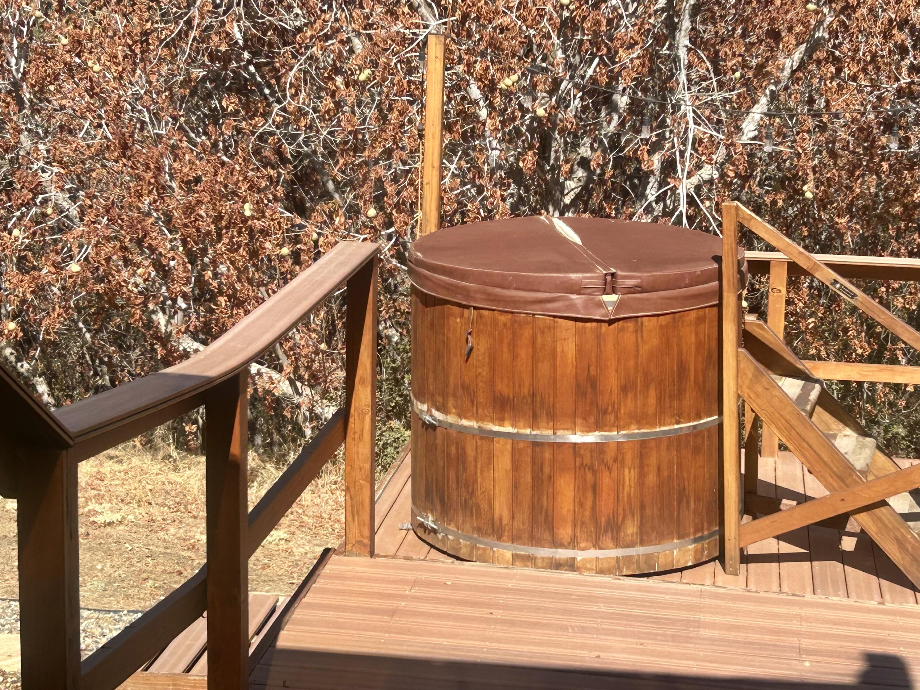 147 Rabbit Foot Trl, California Hot Springs, CA 93207