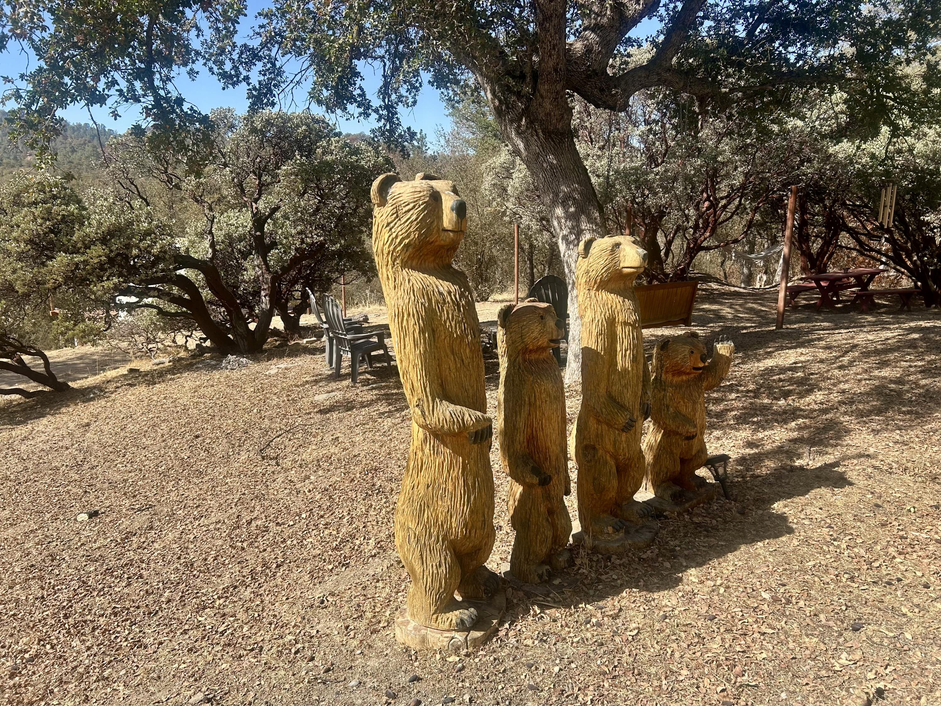 147 Rabbit Foot Trl, California Hot Springs, CA 93207