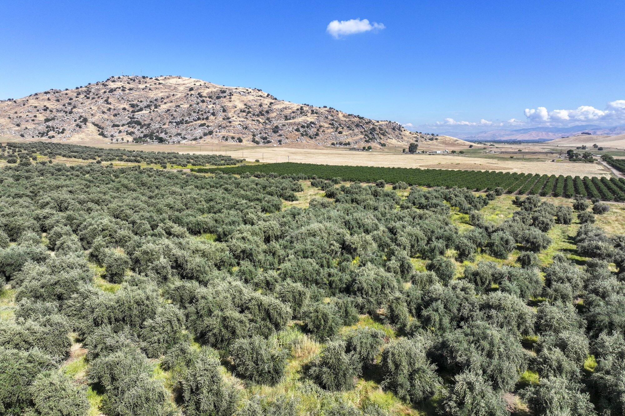 0 E Myer Dr, Exeter, CA 93221