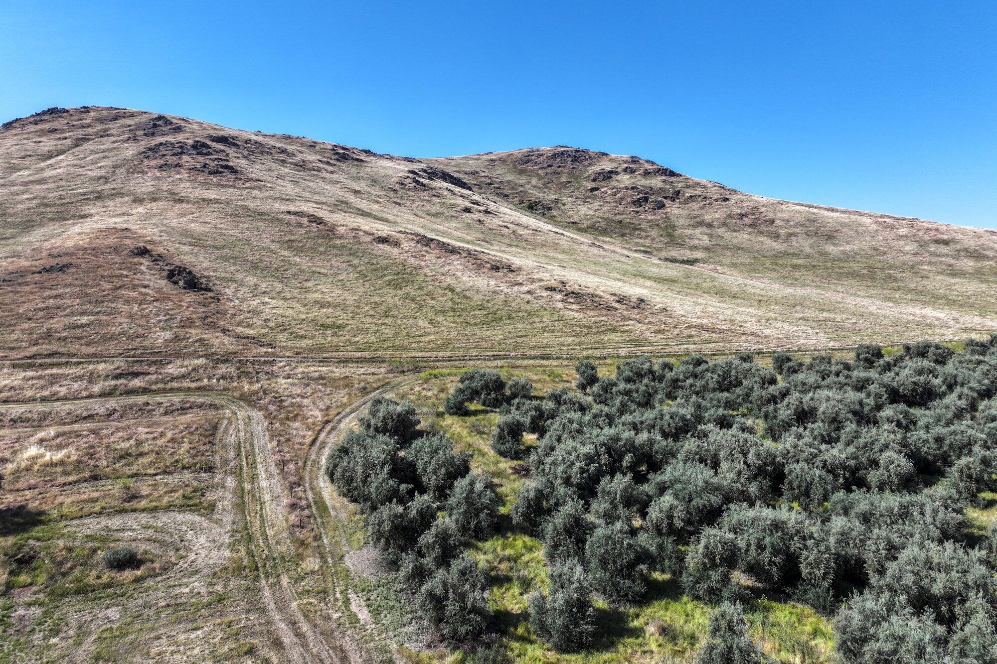 0 E Myer Dr, Exeter, CA 93221