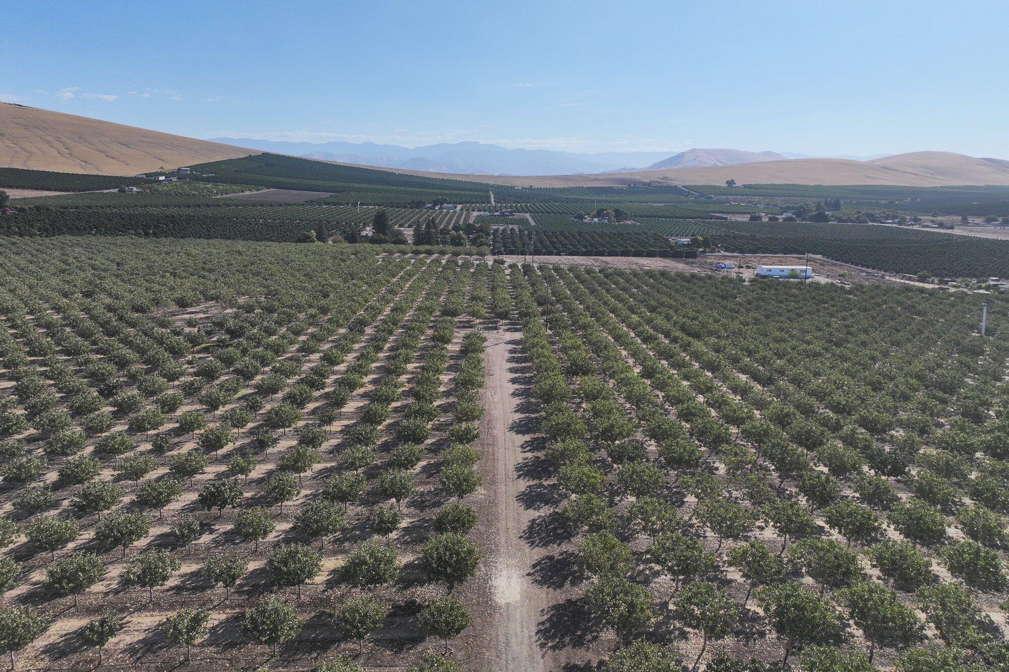 26954 Avenue 96, Terra Bella, CA 93270
